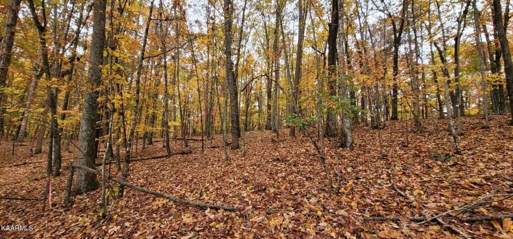36.59-ac River Road Decatur, TN 37322 - Photo 8 of 10 5