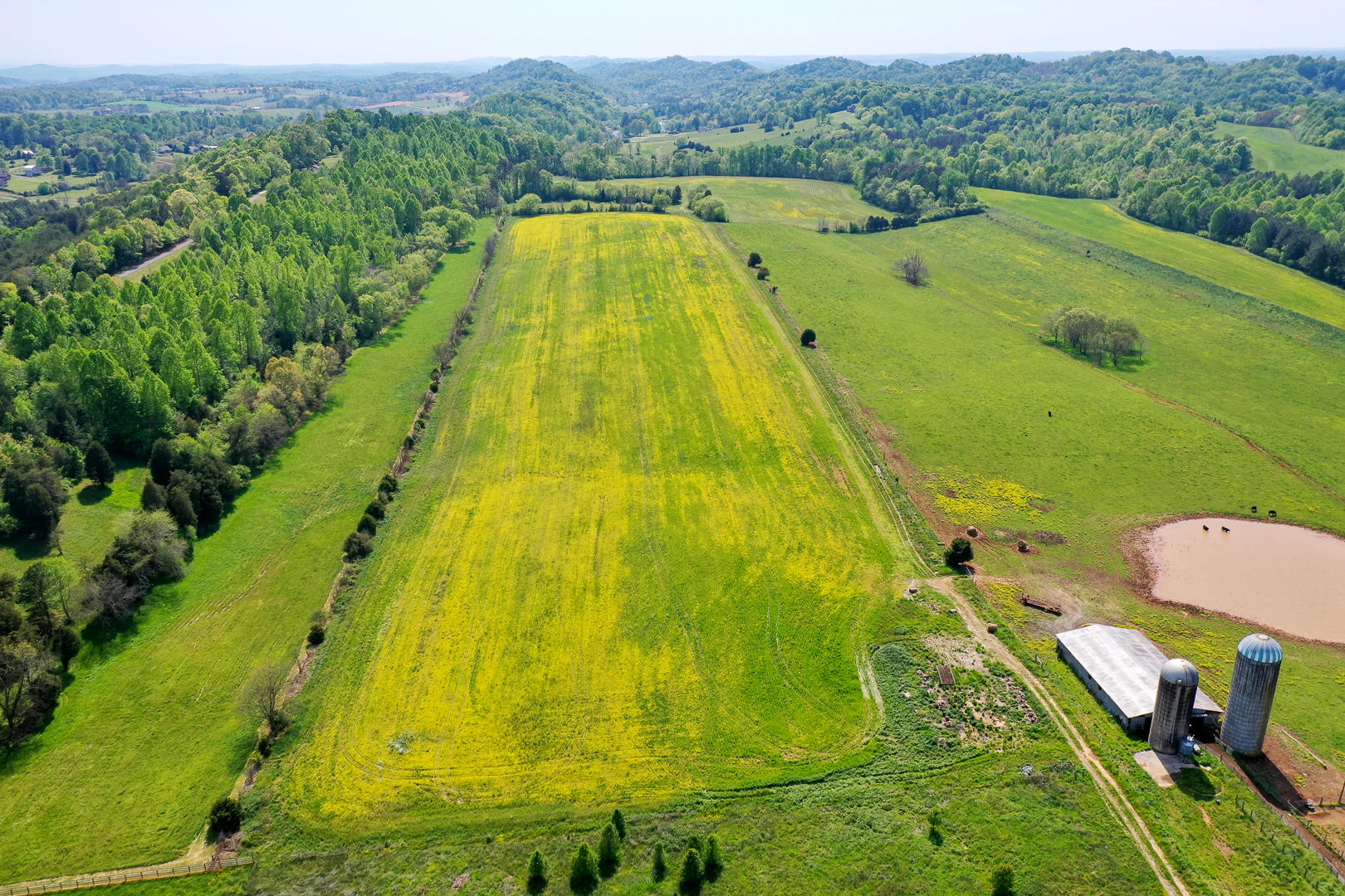 8005 Meadow Road West Greenback, TN 37742 - Photo 11 of 18 DSC_5987-10
