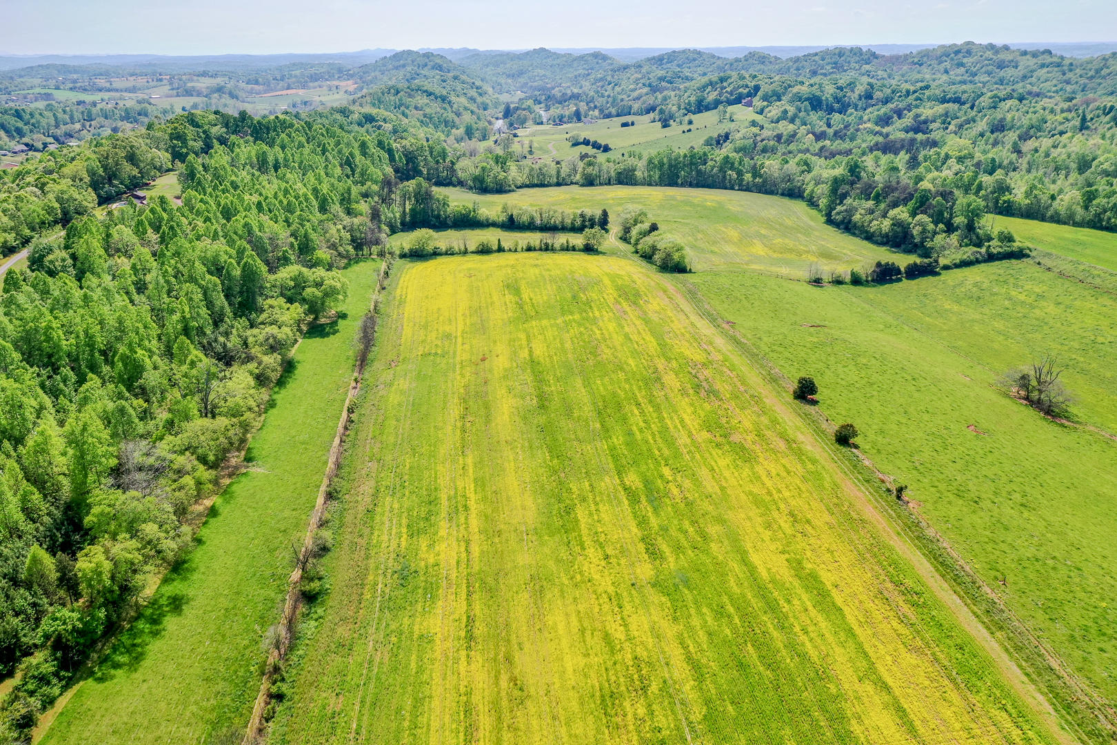 8005 Meadow Road West Greenback, TN 37742 - Photo 12 of 18 DSC_5987-11