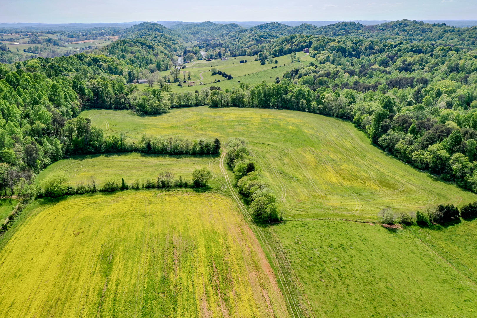 8005 Meadow Road West Greenback, TN 37742 - Photo 13 of 18 DSC_5987-12