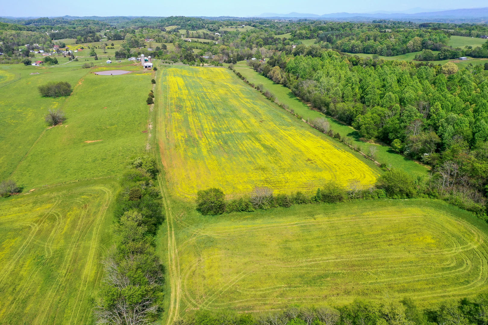 8005 Meadow Road West Greenback, TN 37742 - Photo 15 of 18 DSC_5987-14