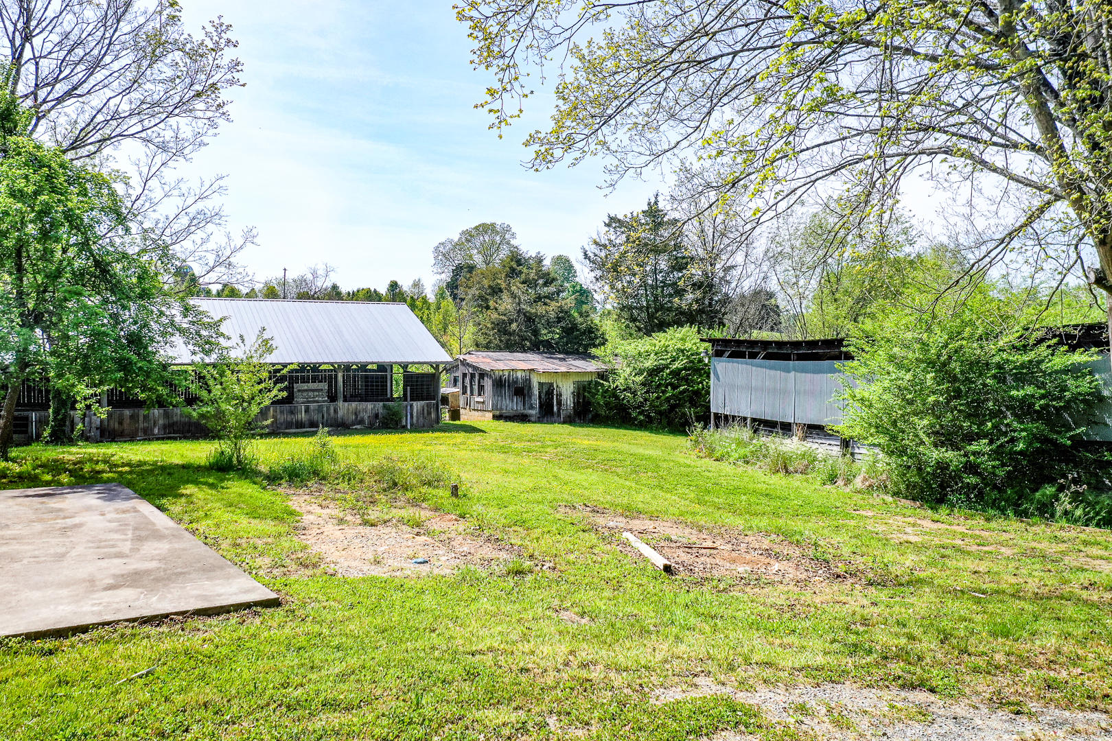 8005 Meadow Road West Greenback, TN 37742 - Photo 5 of 18 DSC_5987-4