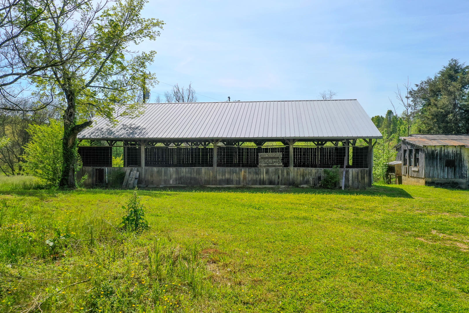 8005 Meadow Road West Greenback, TN 37742 - Photo 6 of 18 DSC_5987-5