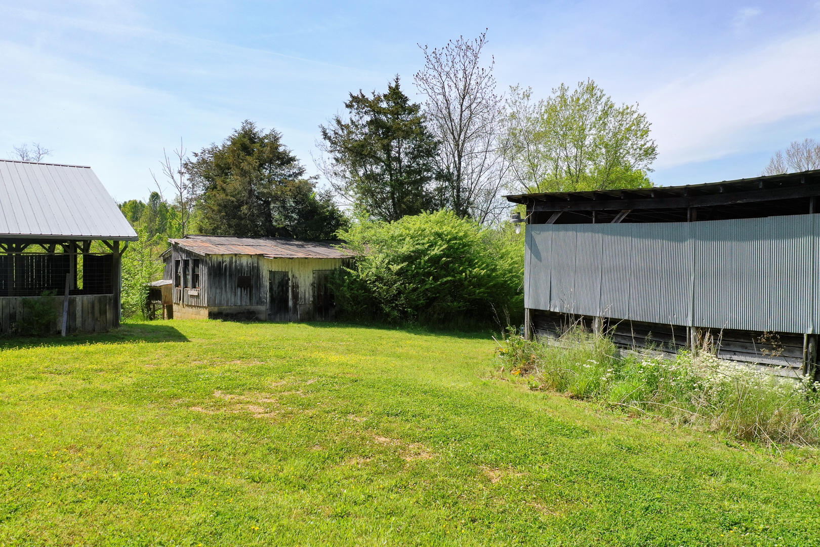 8005 Meadow Road West Greenback, TN 37742 - Photo 7 of 18 DSC_5987-6