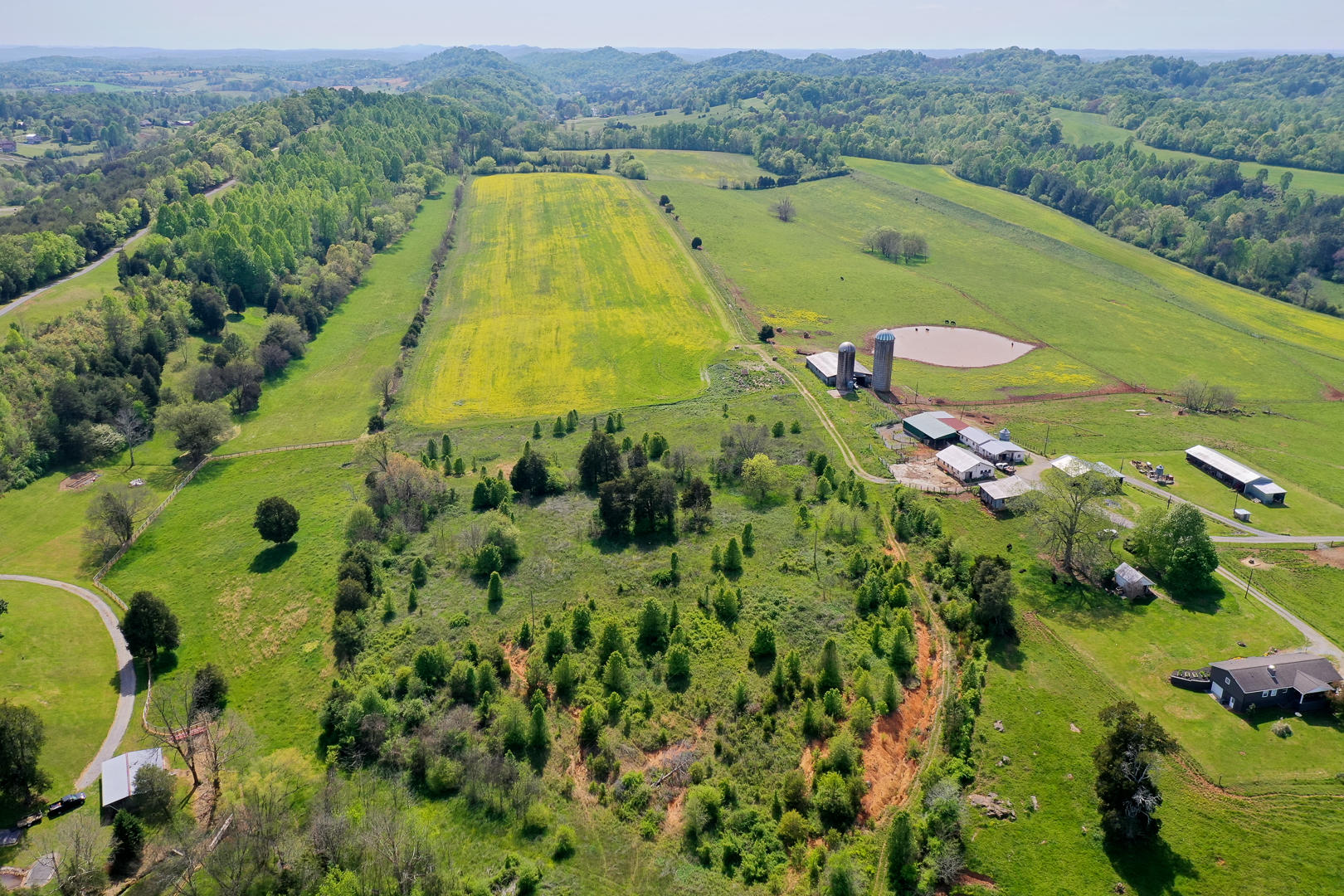 8005 Meadow Road West Greenback, TN 37742 - Photo 10 of 18 DSC_5987-9