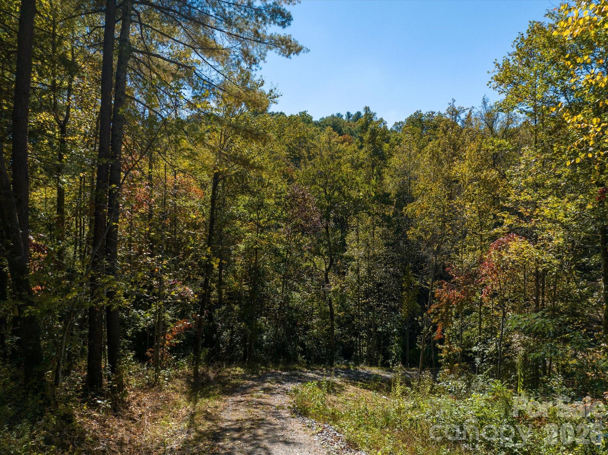 0 Big Hungry Road Flat Rock, NC 28731 - Photo 27 of 40 a view of a yard