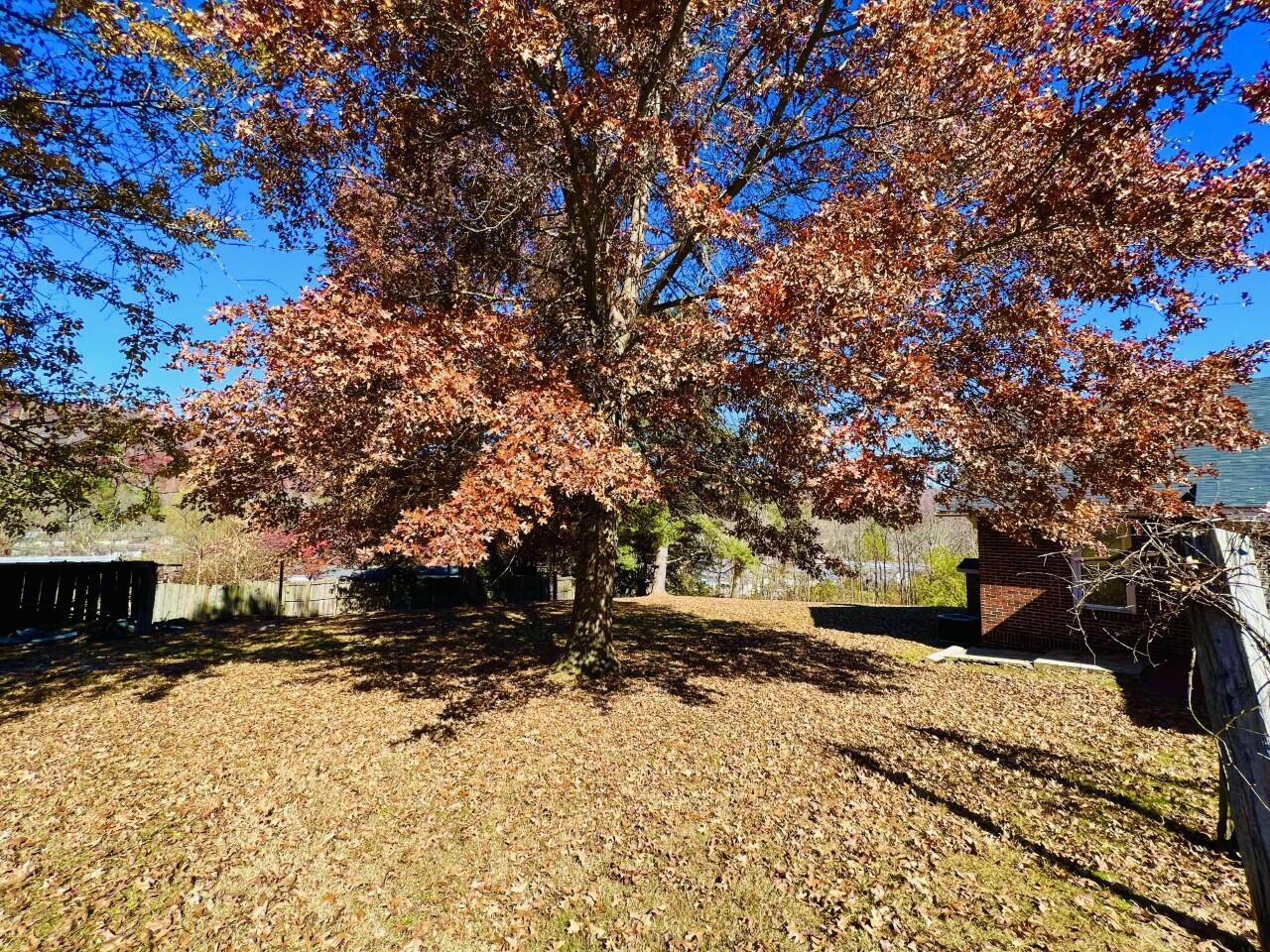 4313 Porter Road Coeburn, VA 24230 - Photo 12 of 40 Yard 3