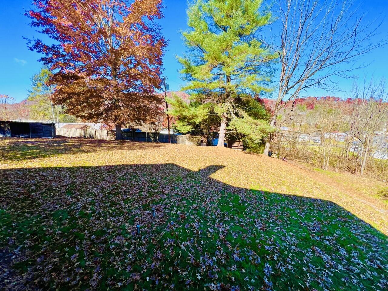 4313 Porter Road Coeburn, VA 24230 - Photo 13 of 40 Yard