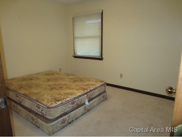 1717 Hunter Ridge Drive Springfield, IL 62704 - Photo 19 of 24 Gallery Image 19