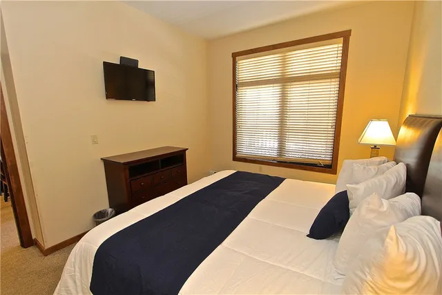 a bedroom with a bed and a television