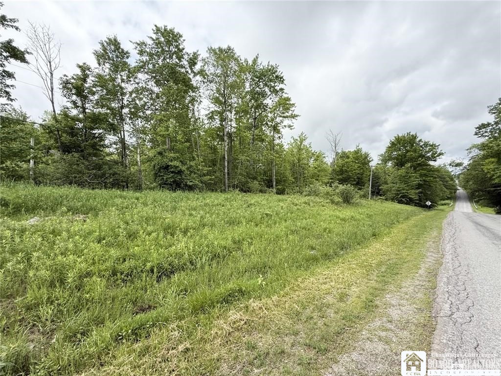 0 Luce Road Bemus Point, NY 14712 - Photo 1 of 39