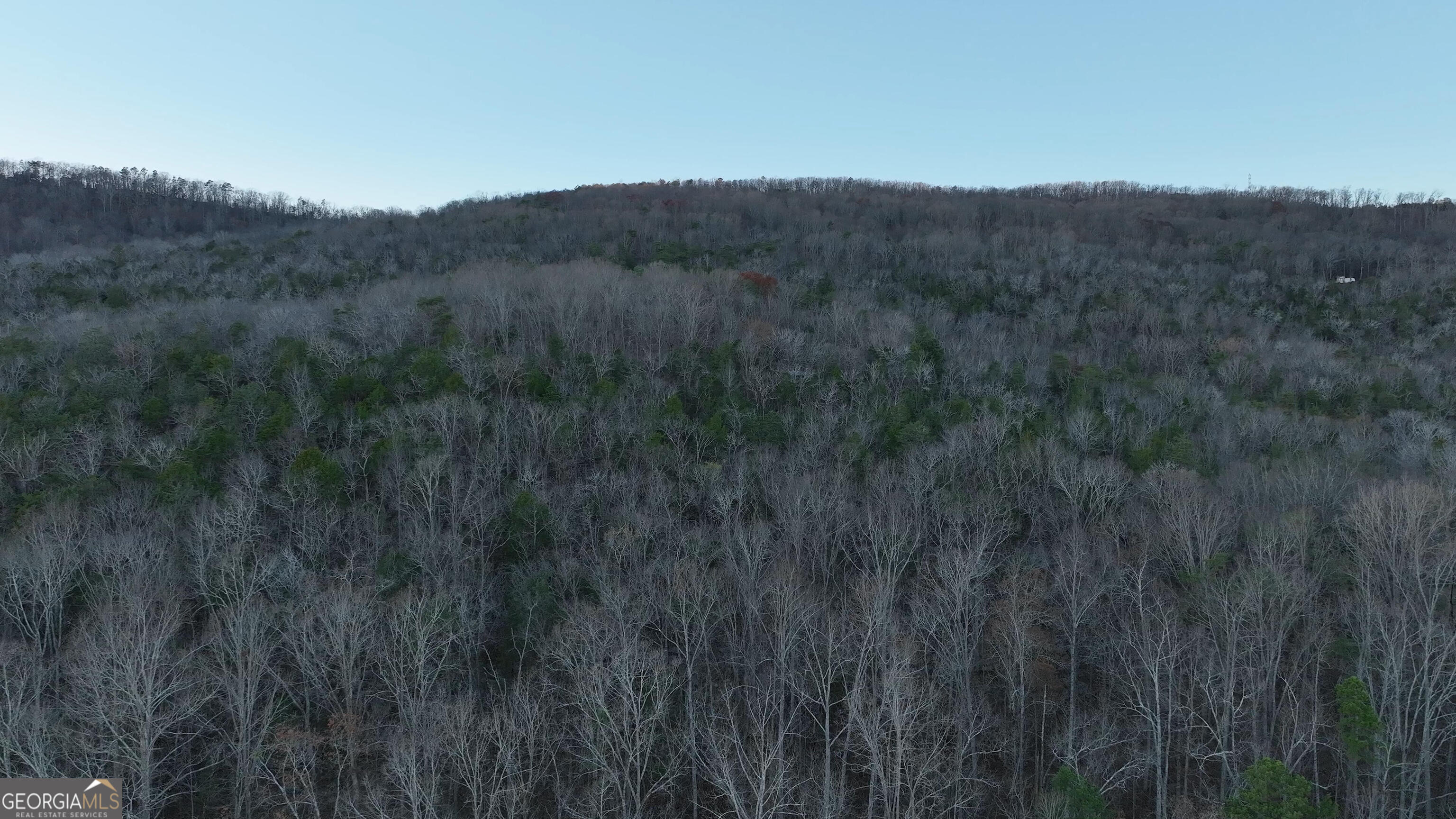 0 Hicks Hollow Road Trenton, GA 30752 - Photo 11 of 17 a view of a lush green forest