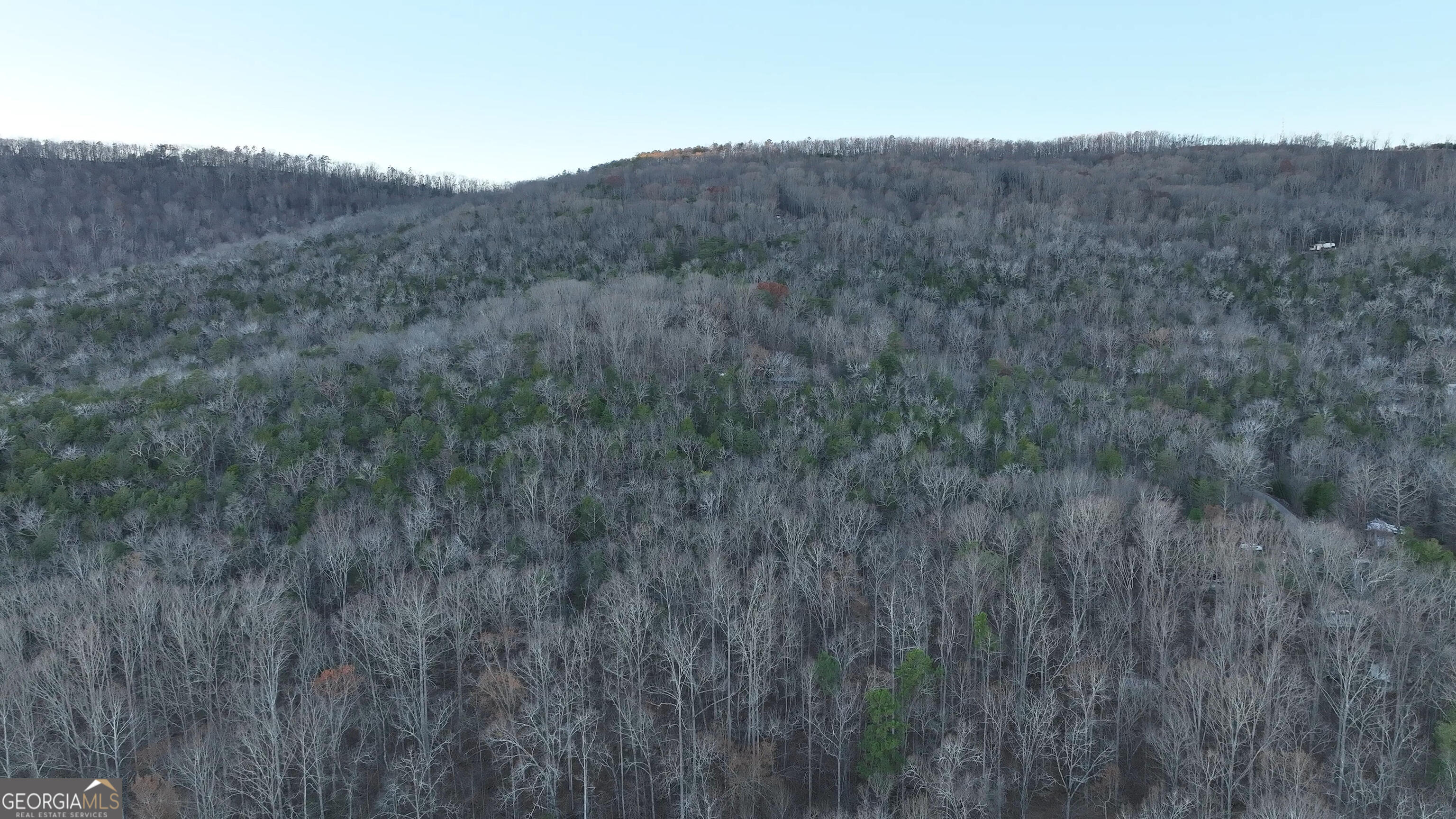 0 Hicks Hollow Road Trenton, GA 30752 - Photo 12 of 17 a view of a dry field
