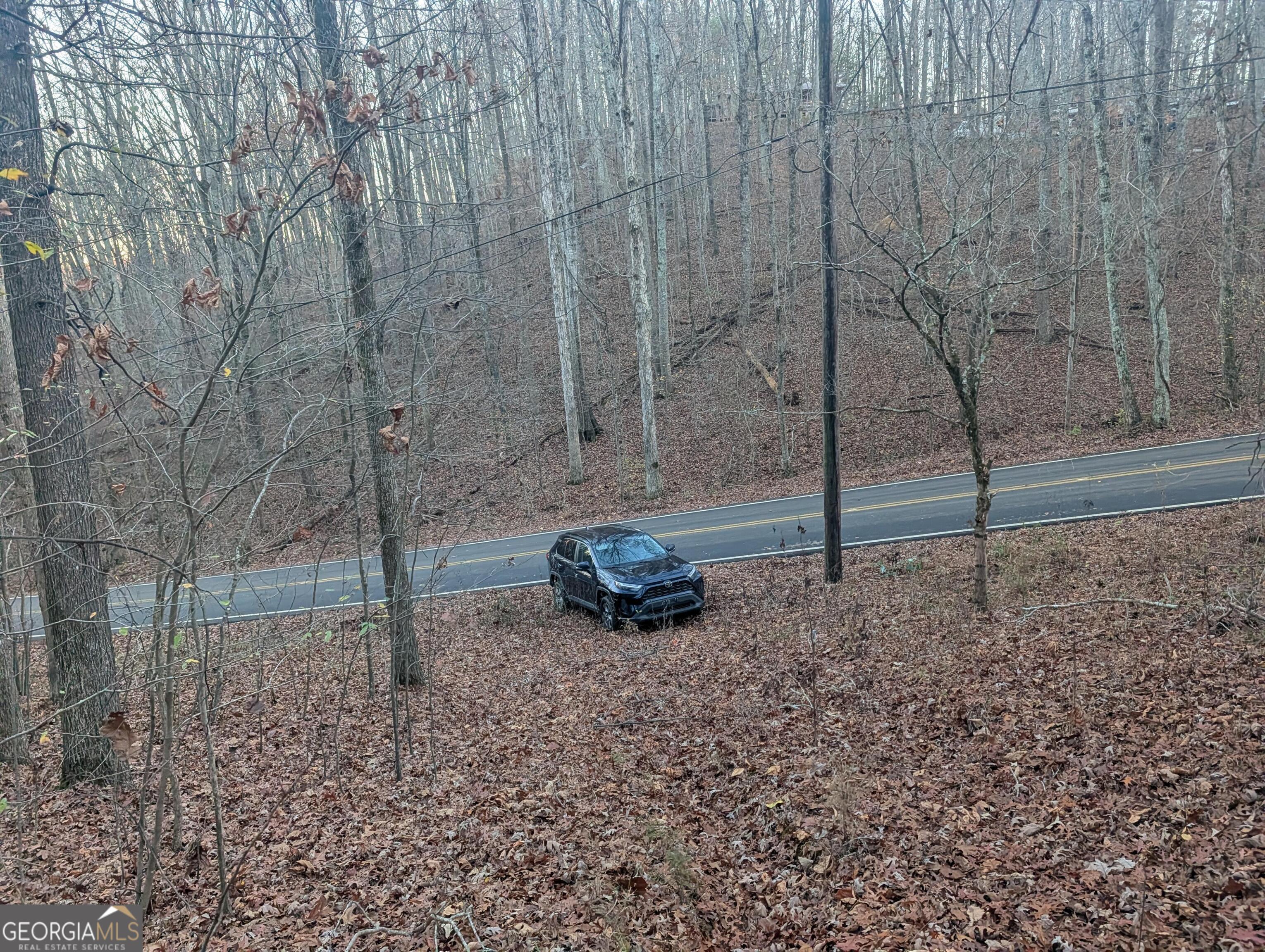 0 Hicks Hollow Road Trenton, GA 30752 - Photo 13 of 17 a view of a backyard with trees