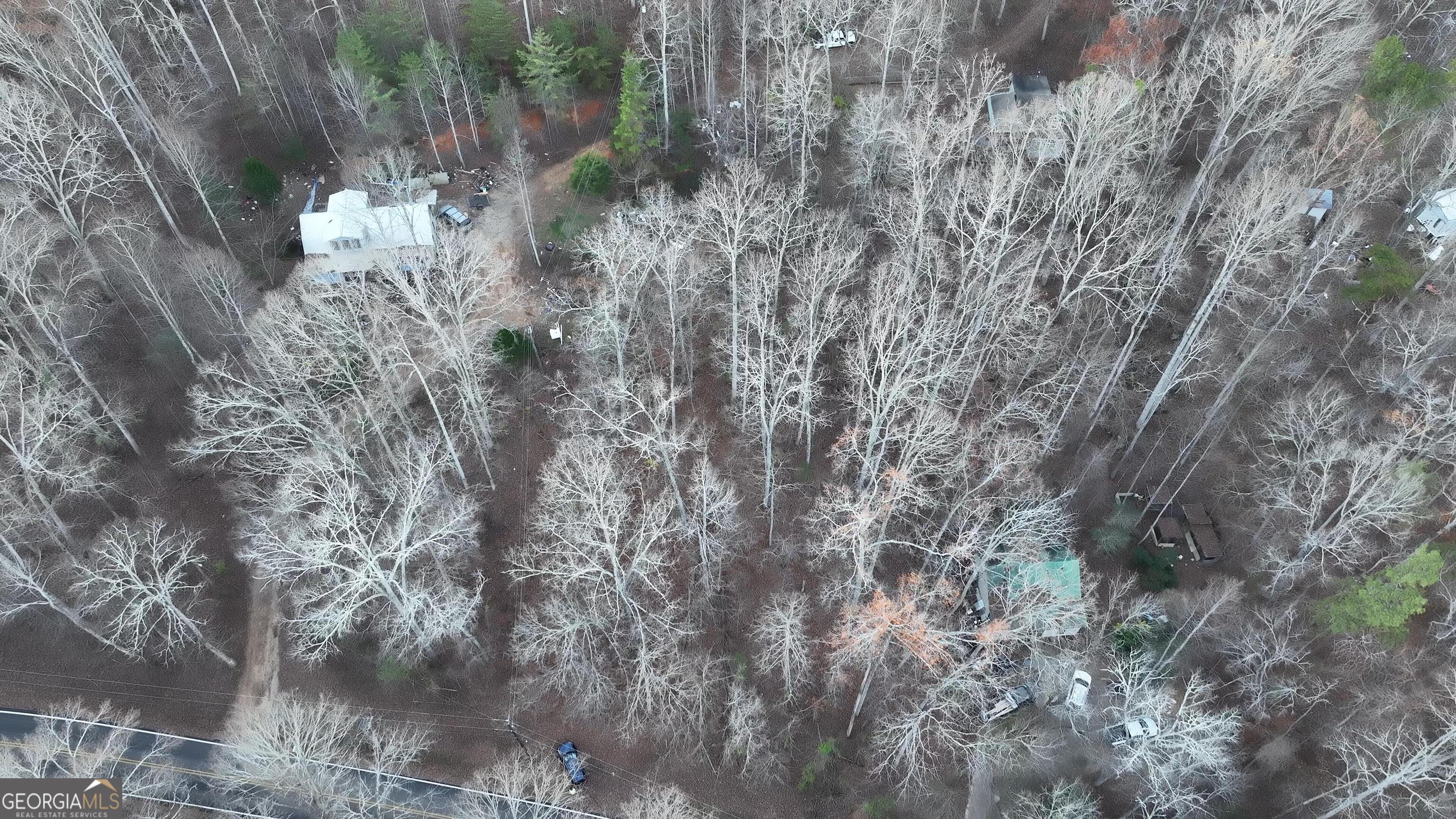 0 Hicks Hollow Road Trenton, GA 30752 - Photo 15 of 17 a view of a yard