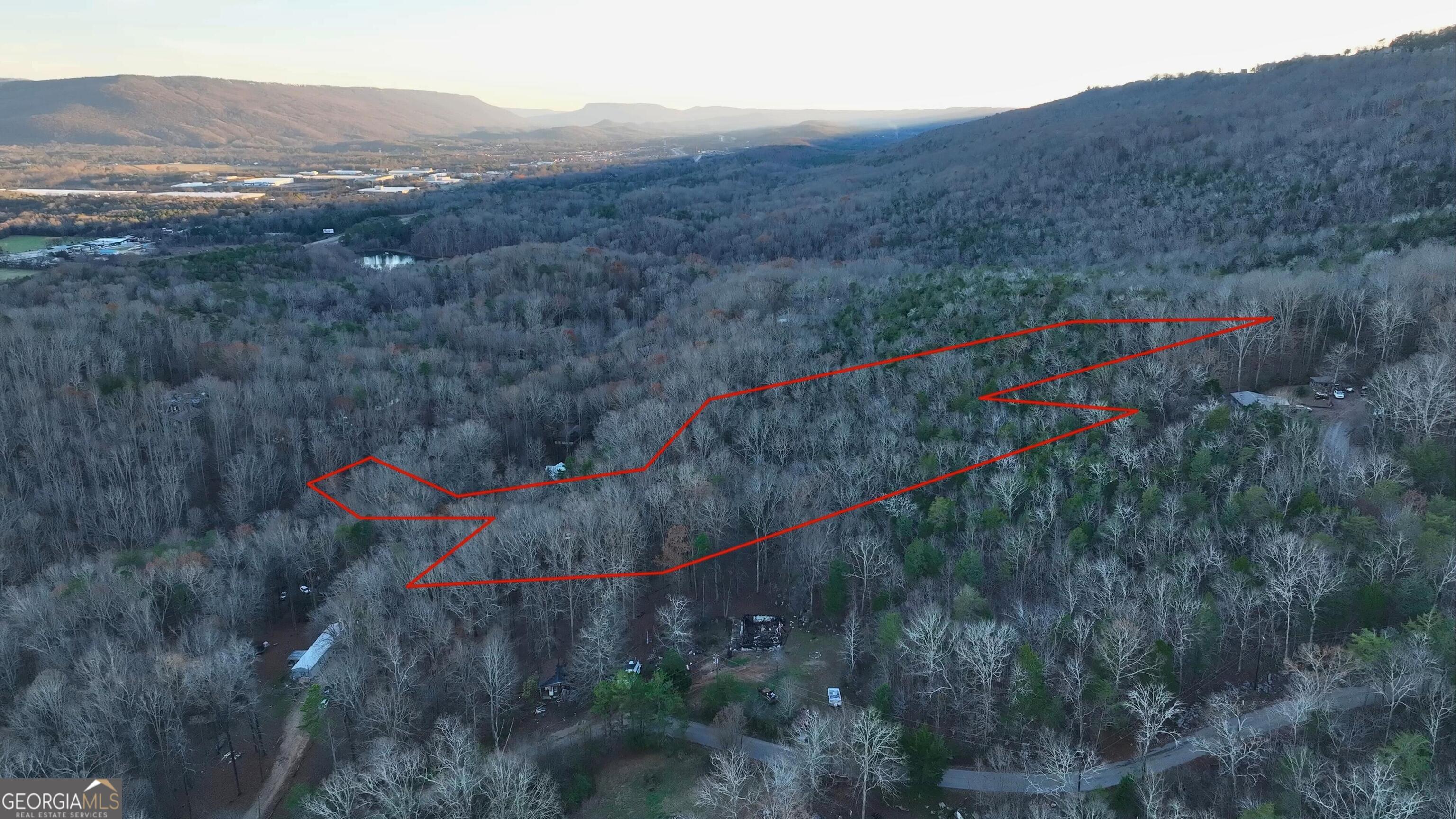 0 Hicks Hollow Road Trenton, GA 30752 - Photo 16 of 17 a view of a lush green hillside and a mountain