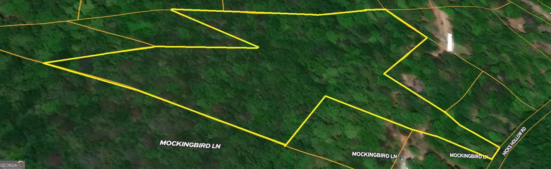 0 Hicks Hollow Road Trenton, GA 30752 - Photo 17 of 17