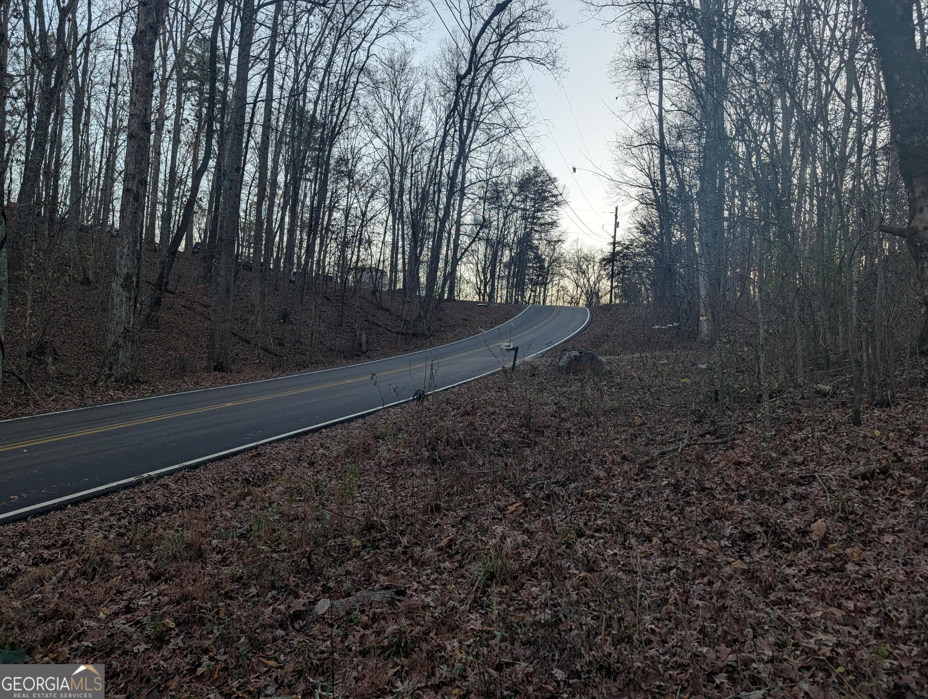 0 Hicks Hollow Road Trenton, GA 30752 - Photo 3 of 17 a view of a yard with large trees