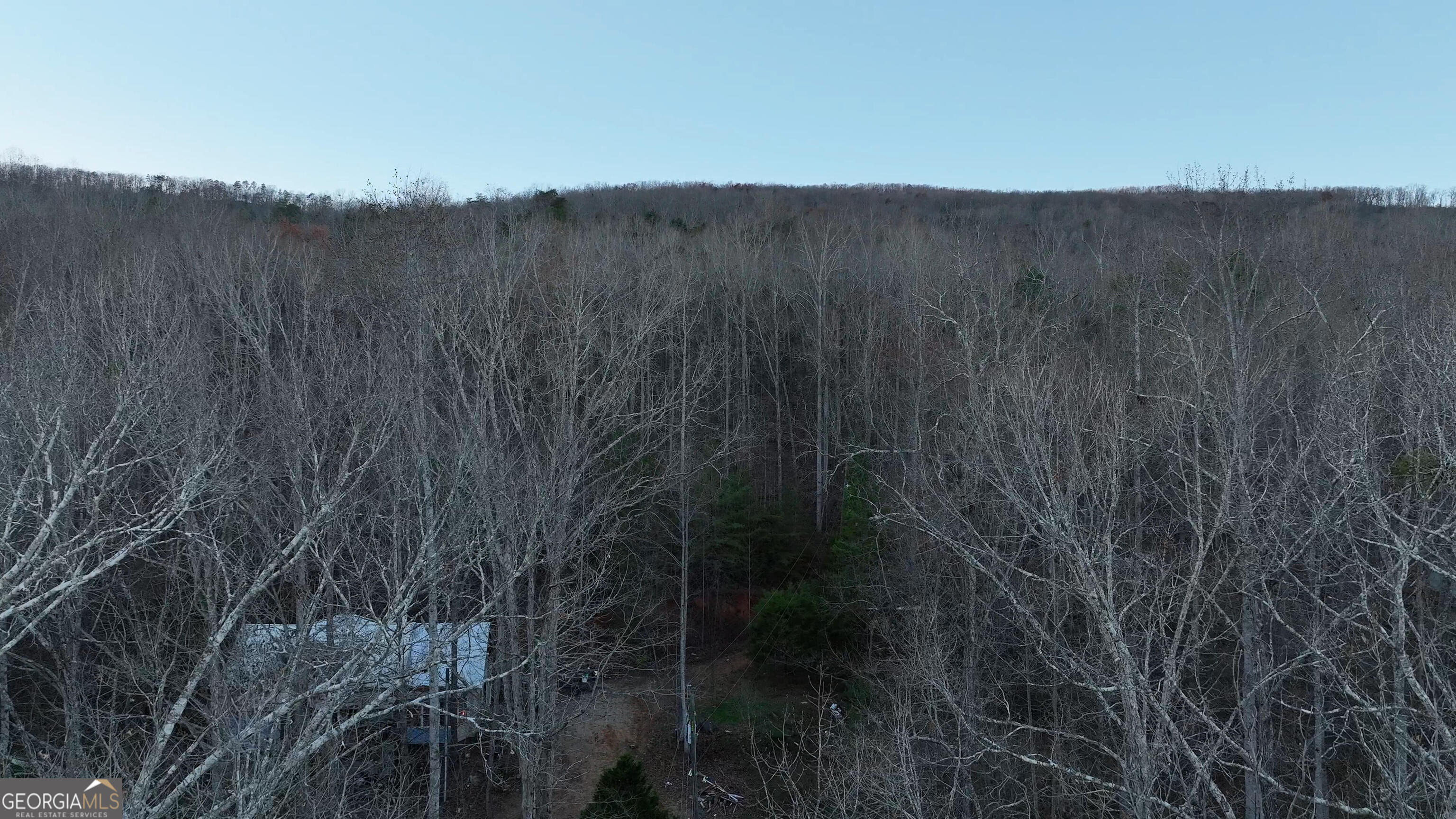0 Hicks Hollow Road Trenton, GA 30752 - Photo 6 of 17 a view of a dry yard with wooden fence