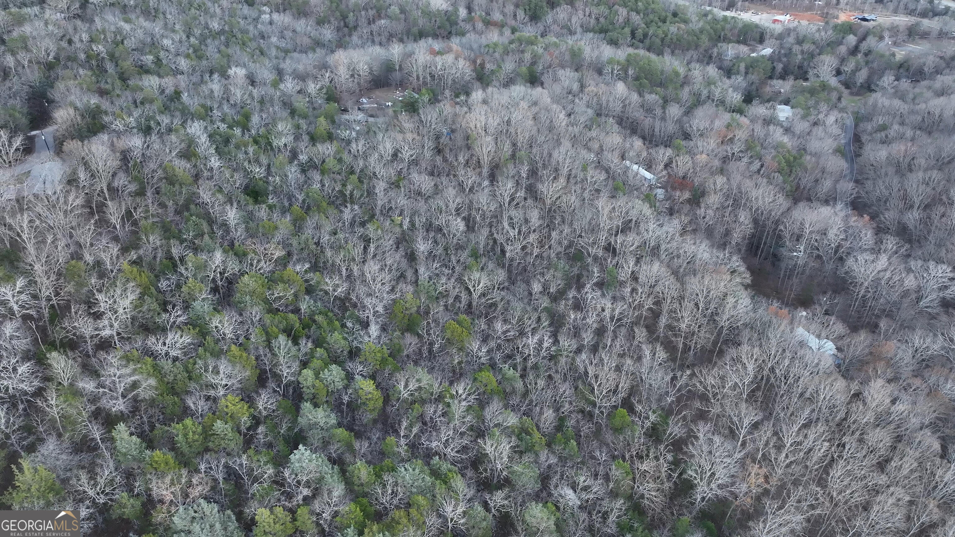 0 Hicks Hollow Road Trenton, GA 30752 - Photo 9 of 17 a view of a dry yard