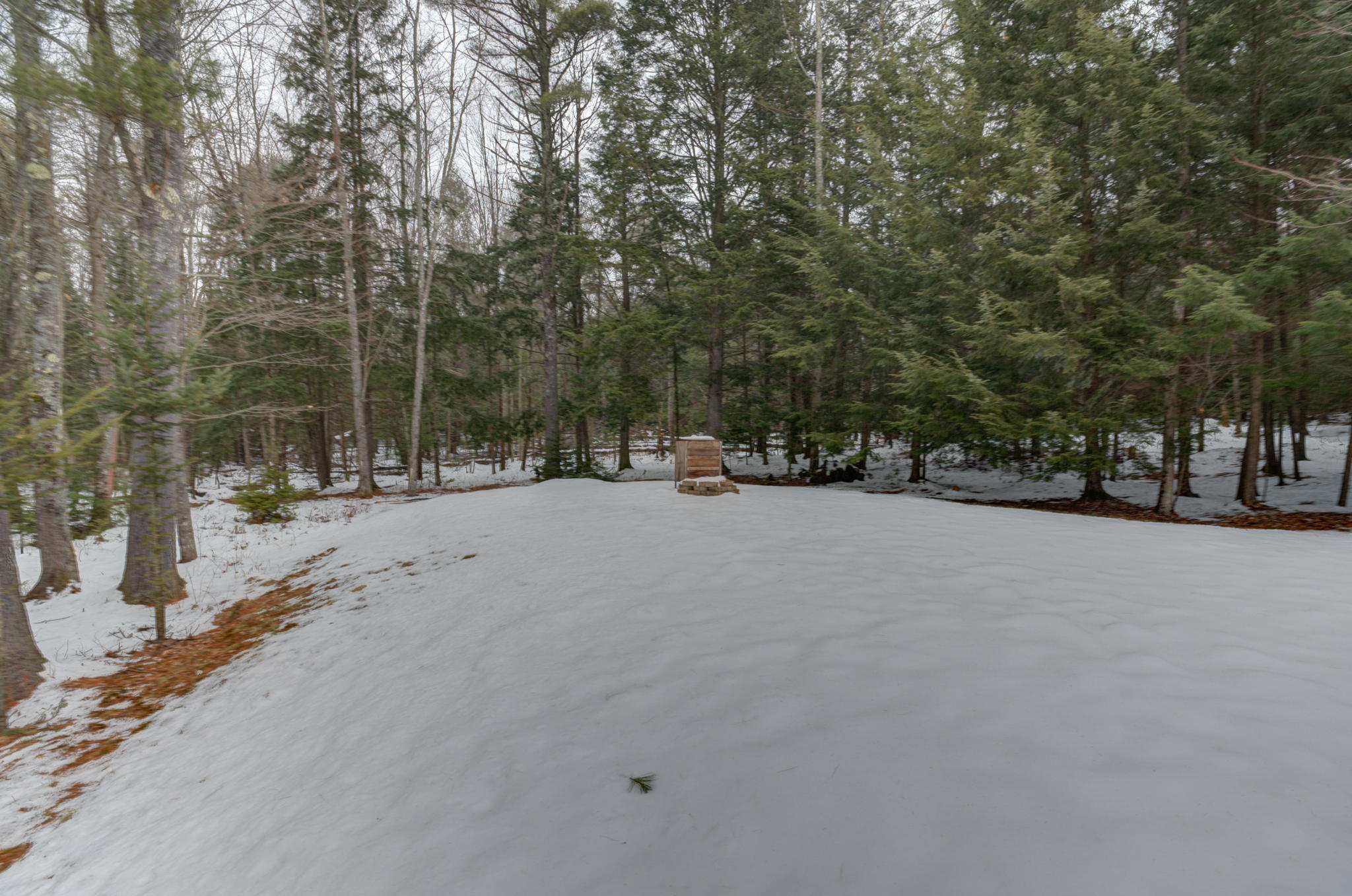 72 Mast Hill Road Saco, ME 04072 - Photo 28 of 30 Backyard