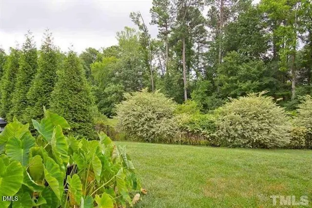a view of a garden with plants