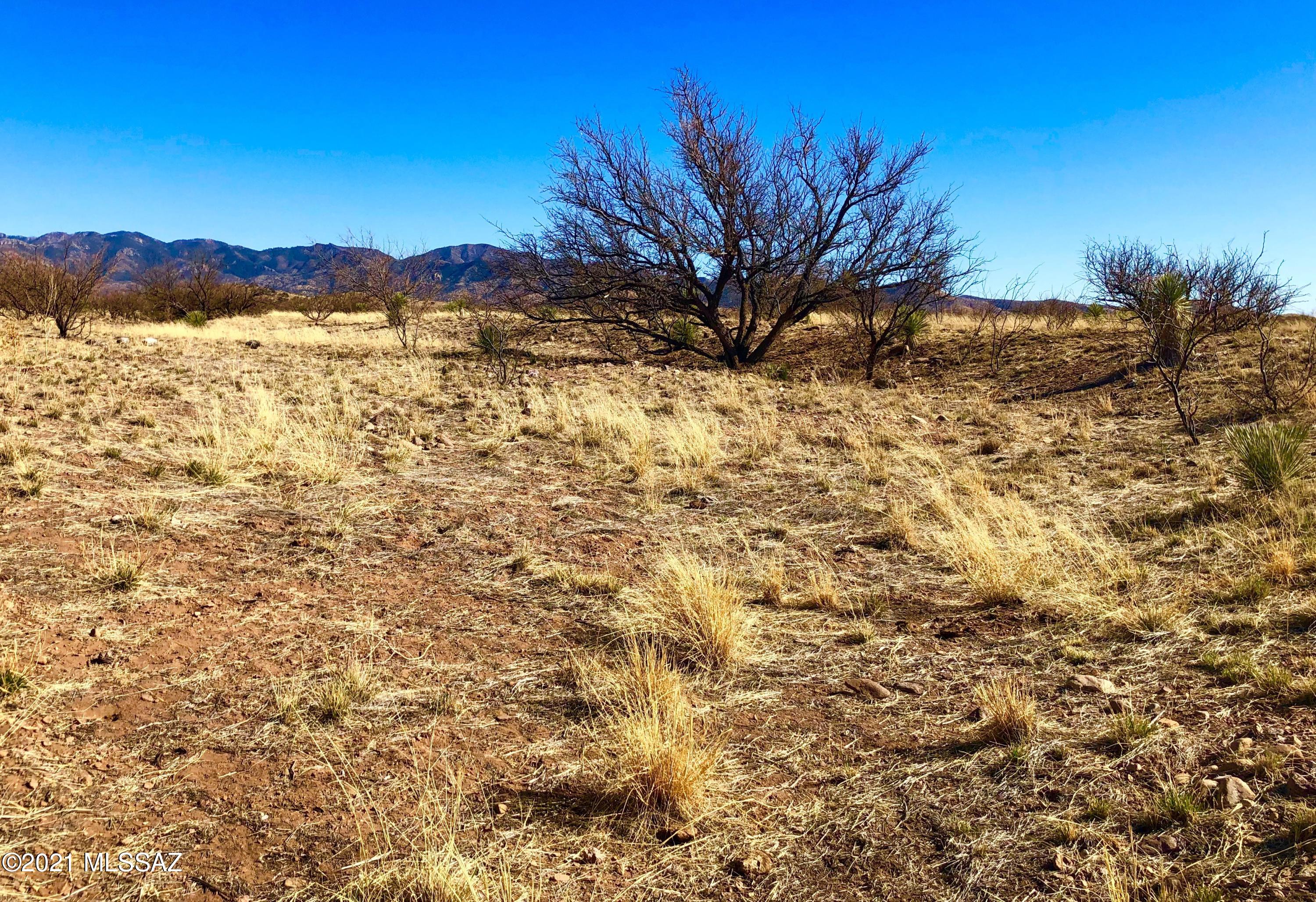 40.16 Ac Pearce, AZ 85625 - Photo 31 of 50