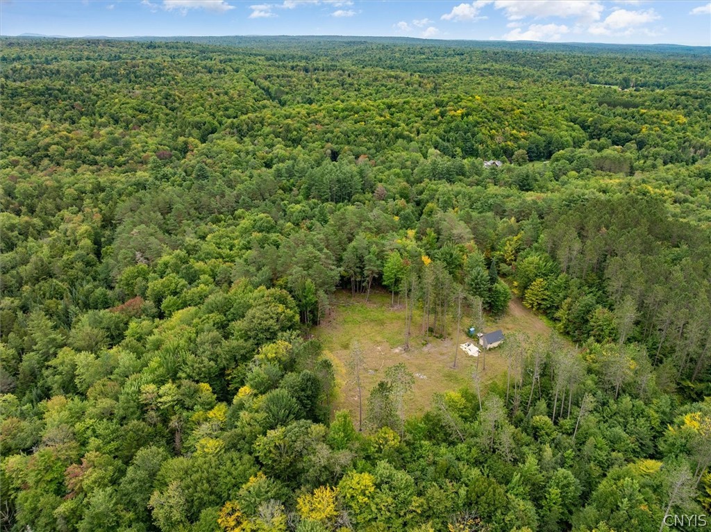 0 Piseco Road Stratford, NY 13470 - Photo 15 of 15 Gallery Image 15