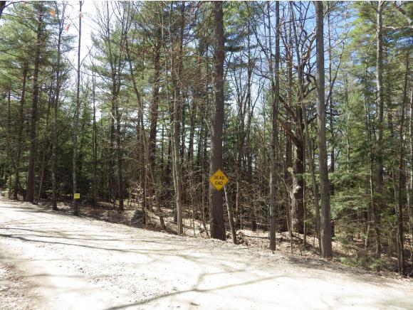 0 Rte 63 & Crowningshield Road Chesterfield, NH 03443 - Photo 4 of 5 Gallery Image 4
