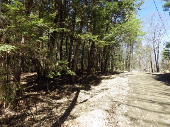 0 Rte 63 & Crowningshield Road Chesterfield, NH 03443 - Photo 5 of 5 Gallery Image 5
