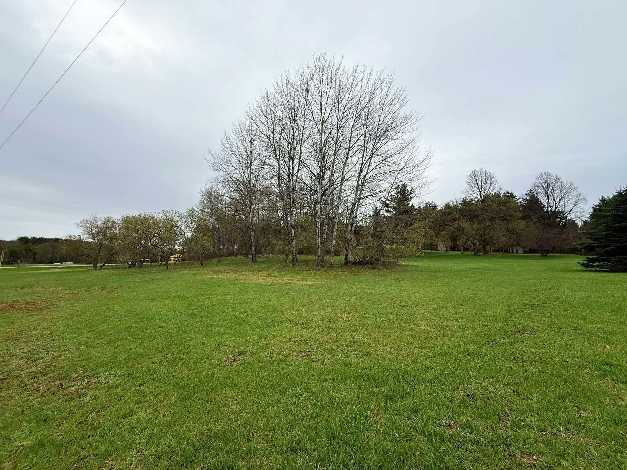 5651 North Seeley Road Manton, MI 49663 - Photo 45 of 49