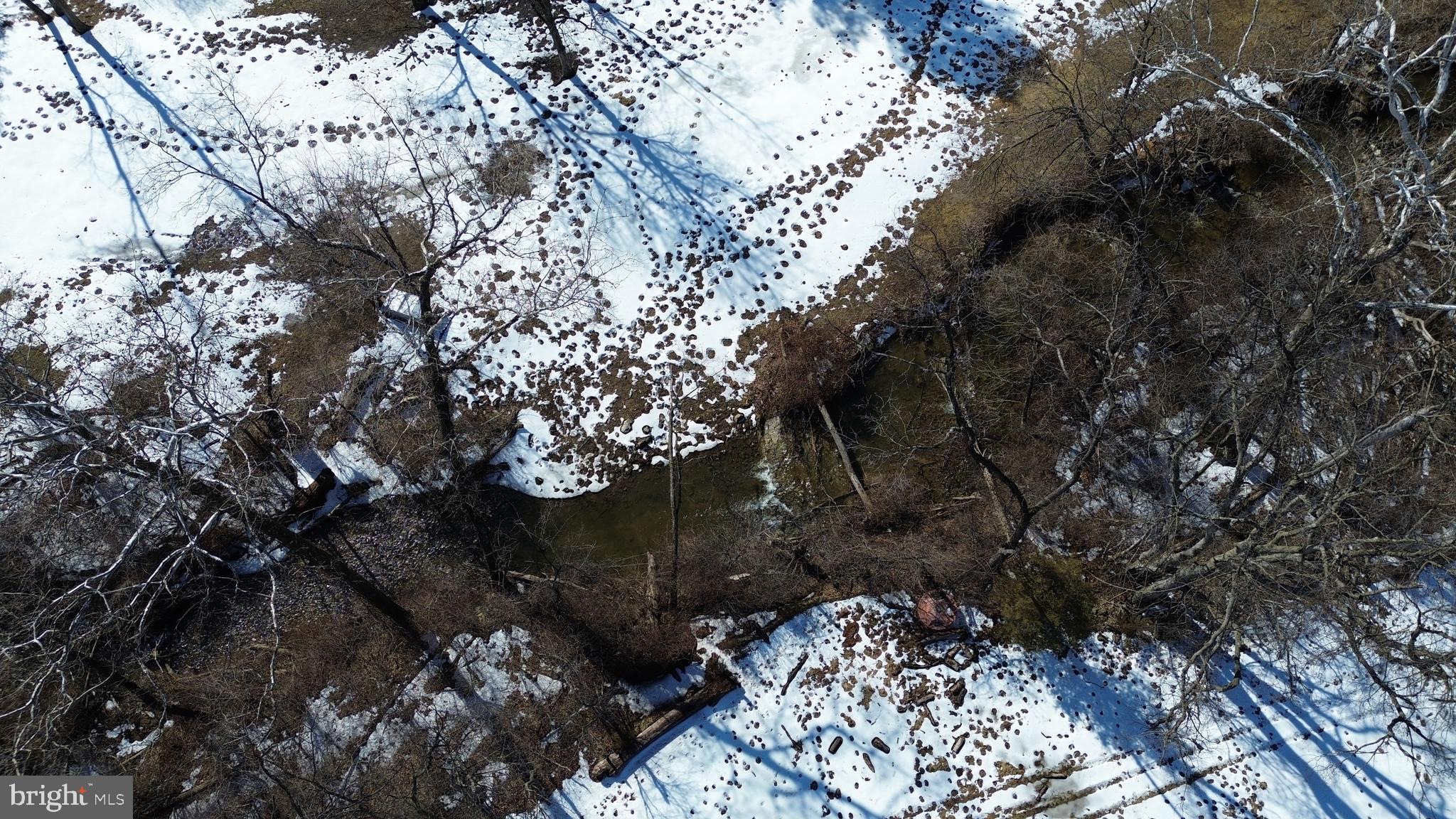 4080 Flat Rock Road Quicksburg, VA 22847 - Photo 12 of 24 a view of a tree