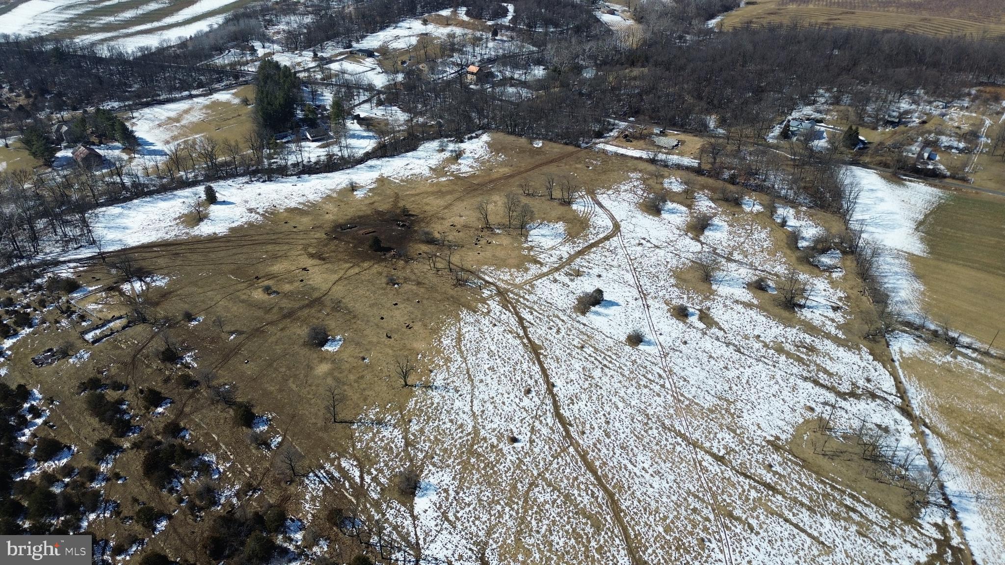 4080 Flat Rock Road Quicksburg, VA 22847 - Photo 13 of 24 a view of water tree