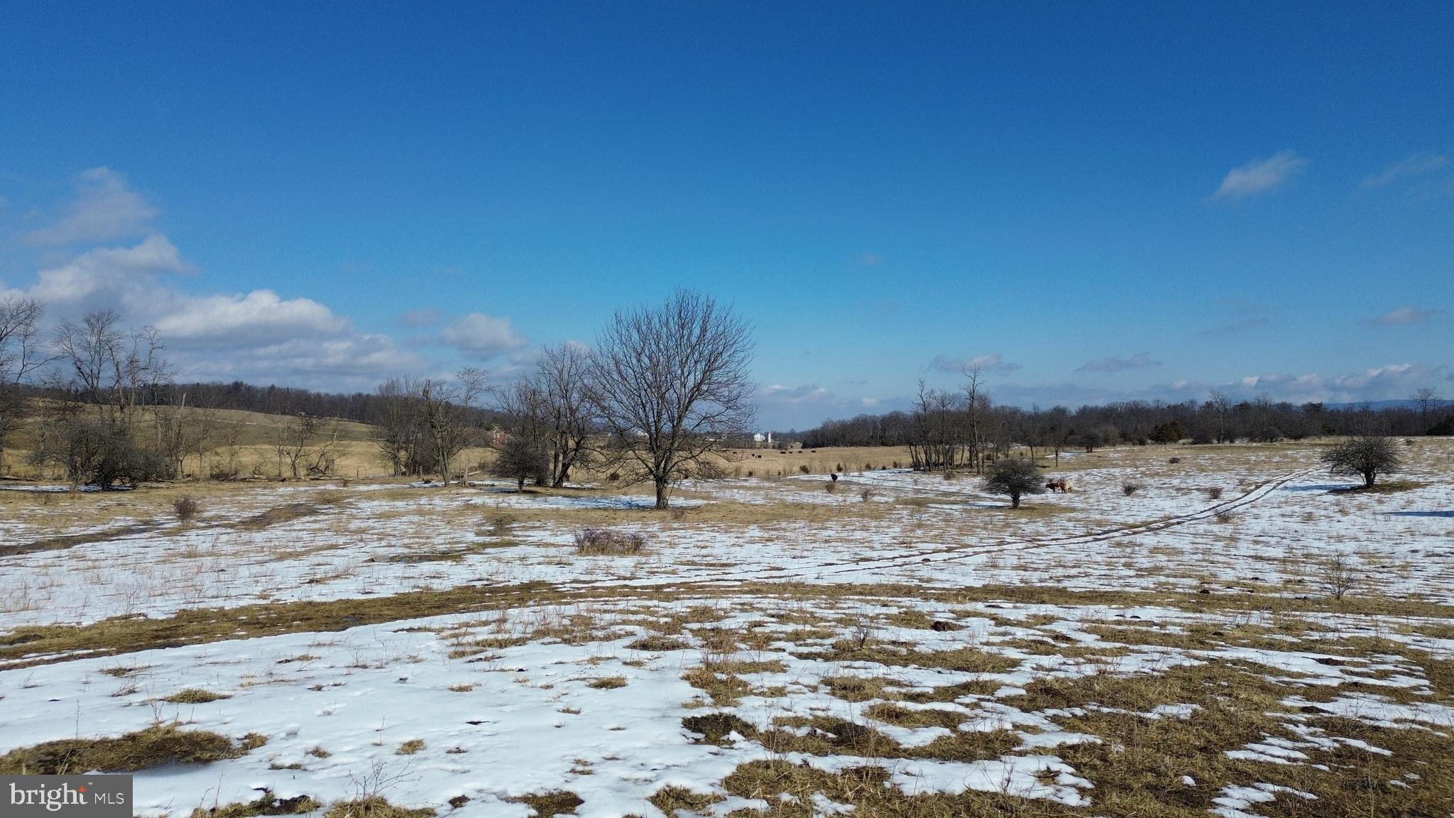 4080 Flat Rock Road Quicksburg, VA 22847 - Photo 15 of 24 a view of ocean view with beach