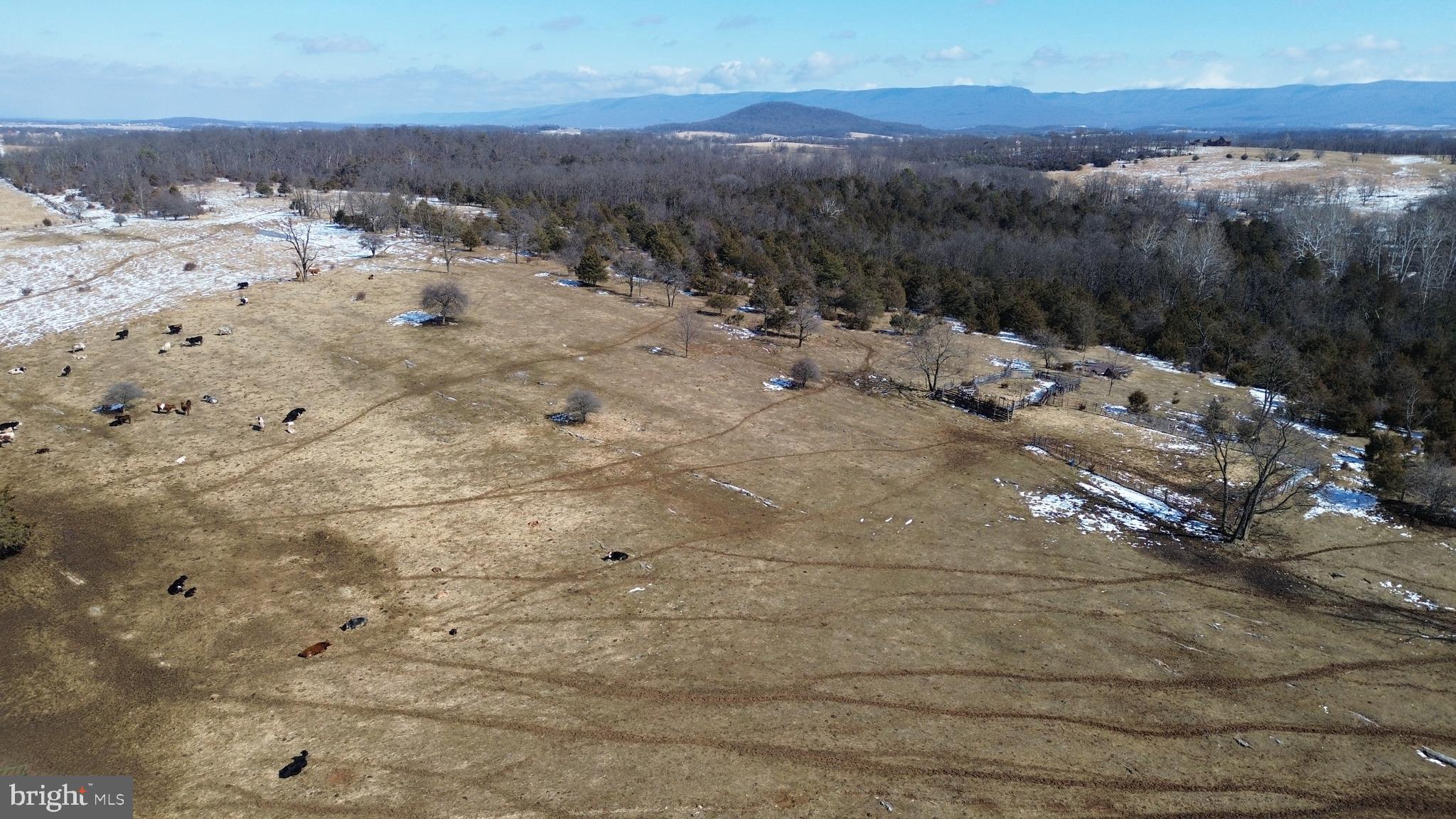 4080 Flat Rock Road Quicksburg, VA 22847 - Photo 17 of 24 a view of a dry yard with wooden fence