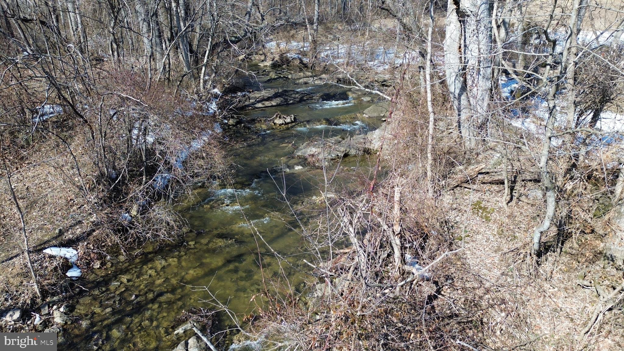 4080 Flat Rock Road Quicksburg, VA 22847 - Photo 18 of 24 a picture of tree