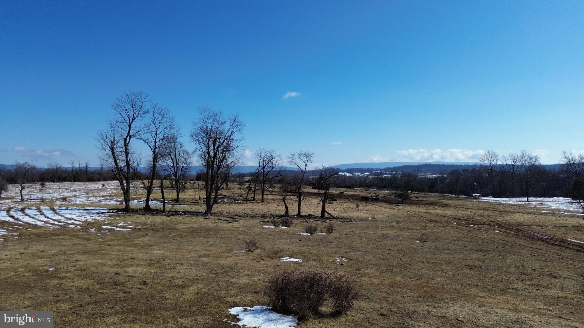 4080 Flat Rock Road Quicksburg, VA 22847 - Photo 19 of 24 a view of a lake with lots of trees
