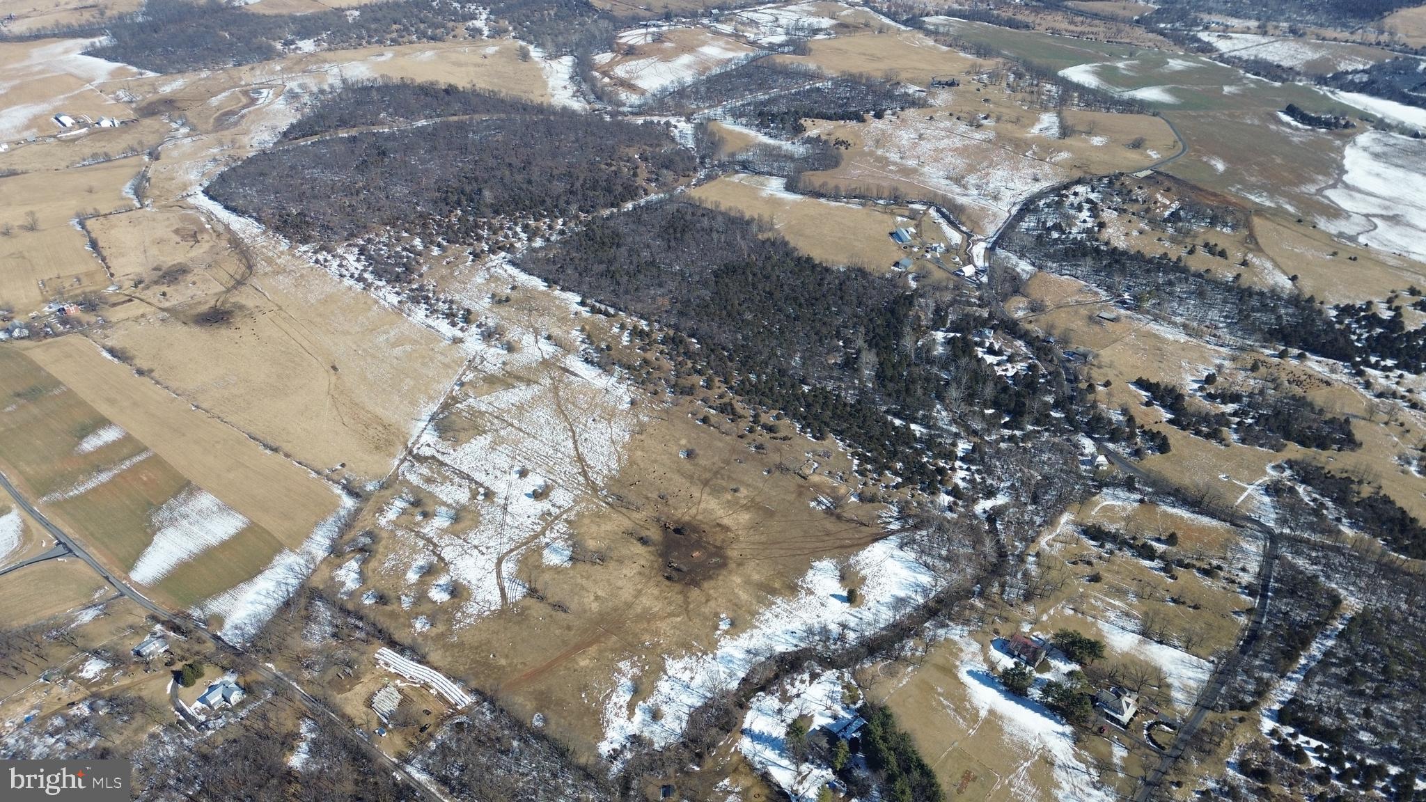 4080 Flat Rock Road Quicksburg, VA 22847 - Photo 20 of 24 a view of a tree