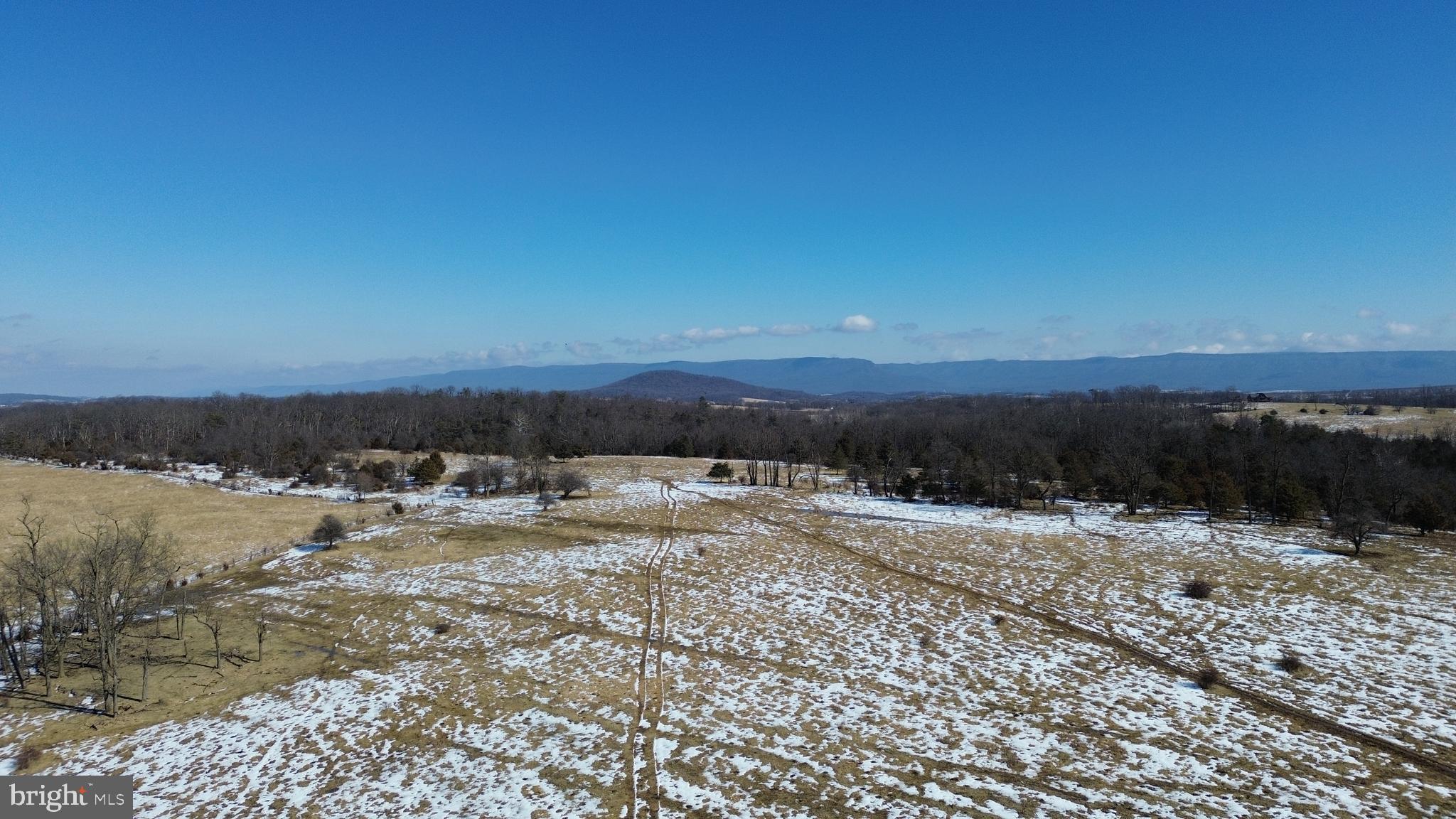 4080 Flat Rock Road Quicksburg, VA 22847 - Photo 22 of 24 a view of a yard with wooden fence