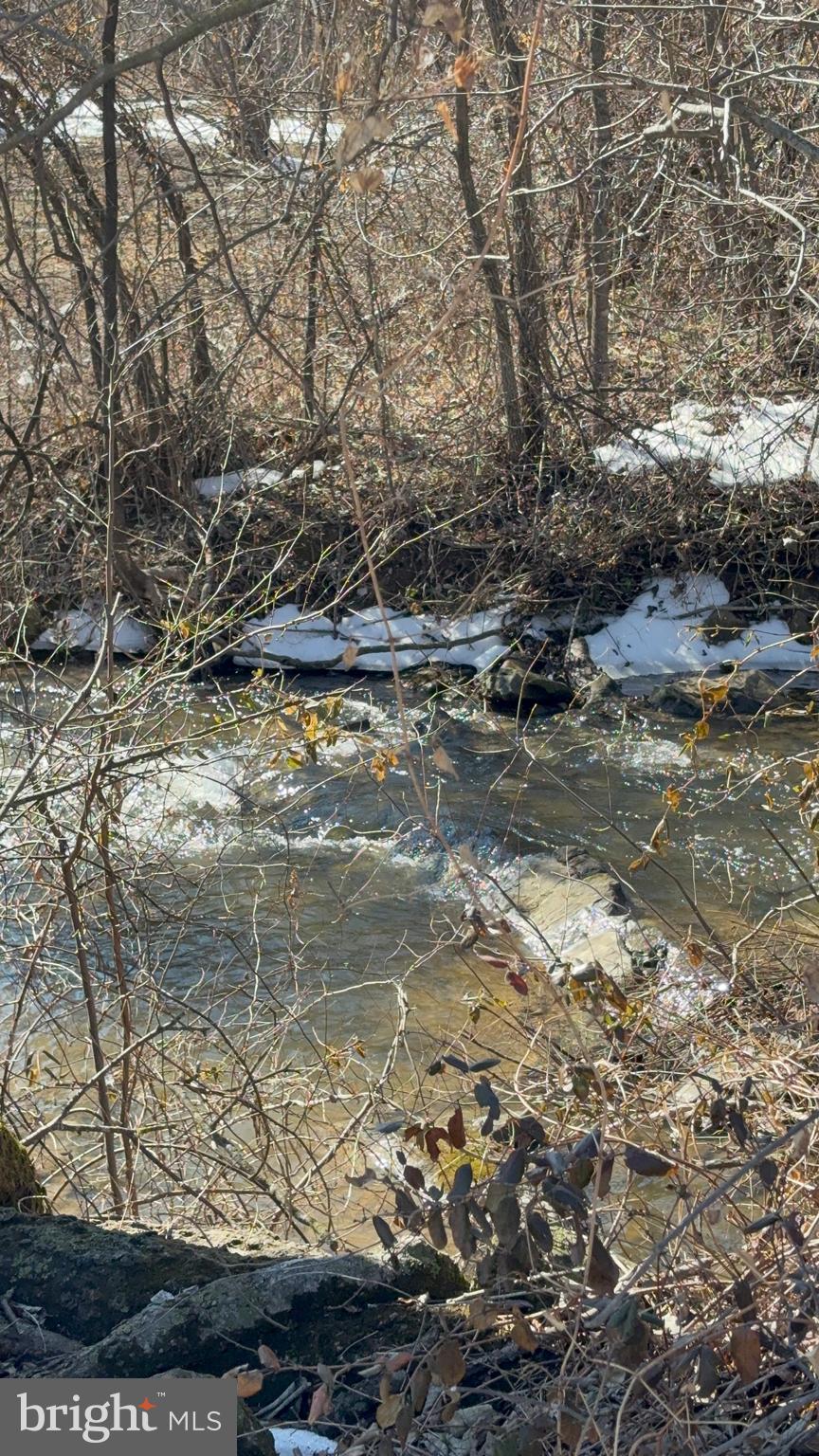 4080 Flat Rock Road Quicksburg, VA 22847 - Photo 24 of 24 a view of a tree with a yard