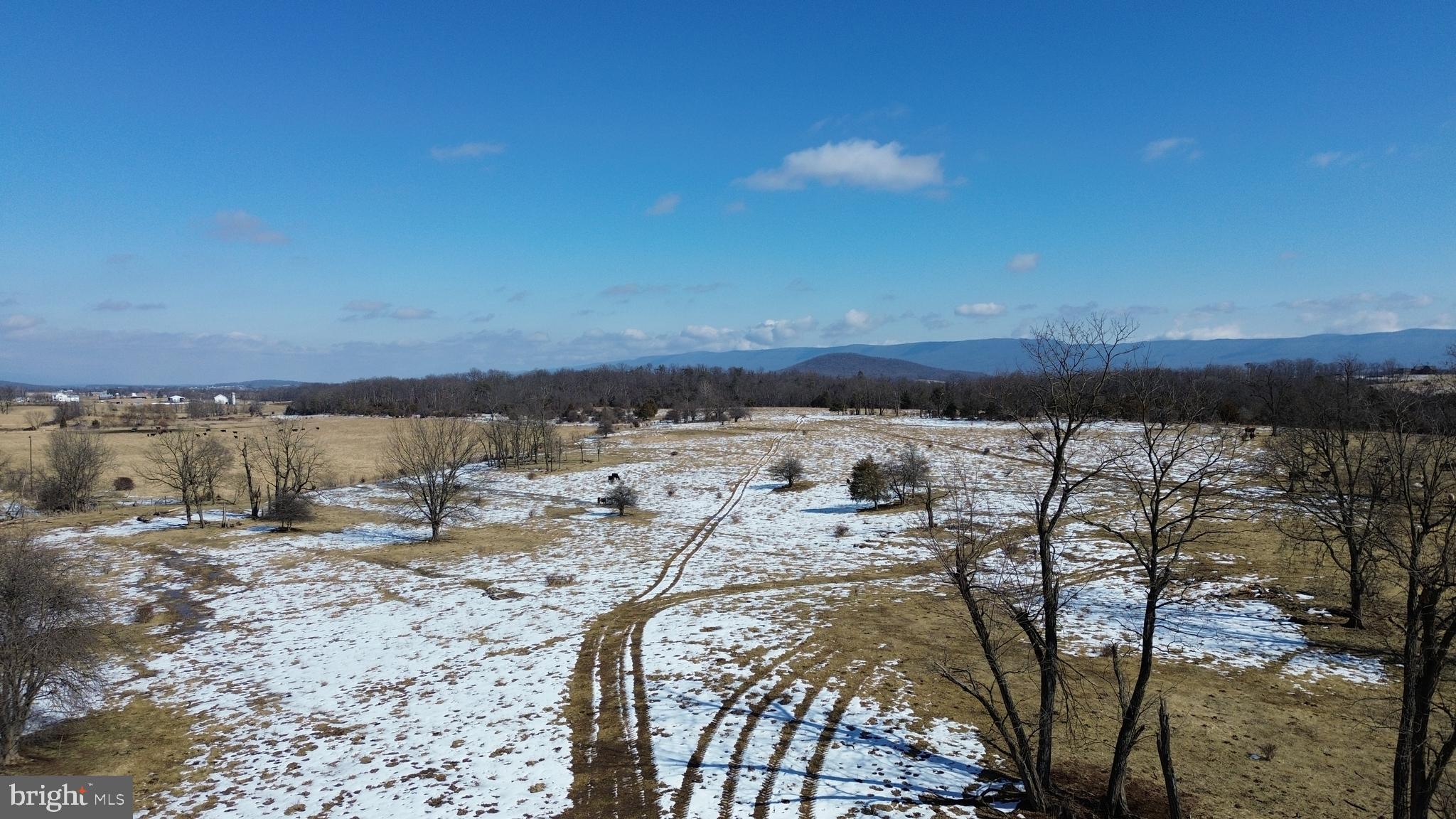 4080 Flat Rock Road Quicksburg, VA 22847 - Photo 3 of 24 a view of a lake with beach and city space