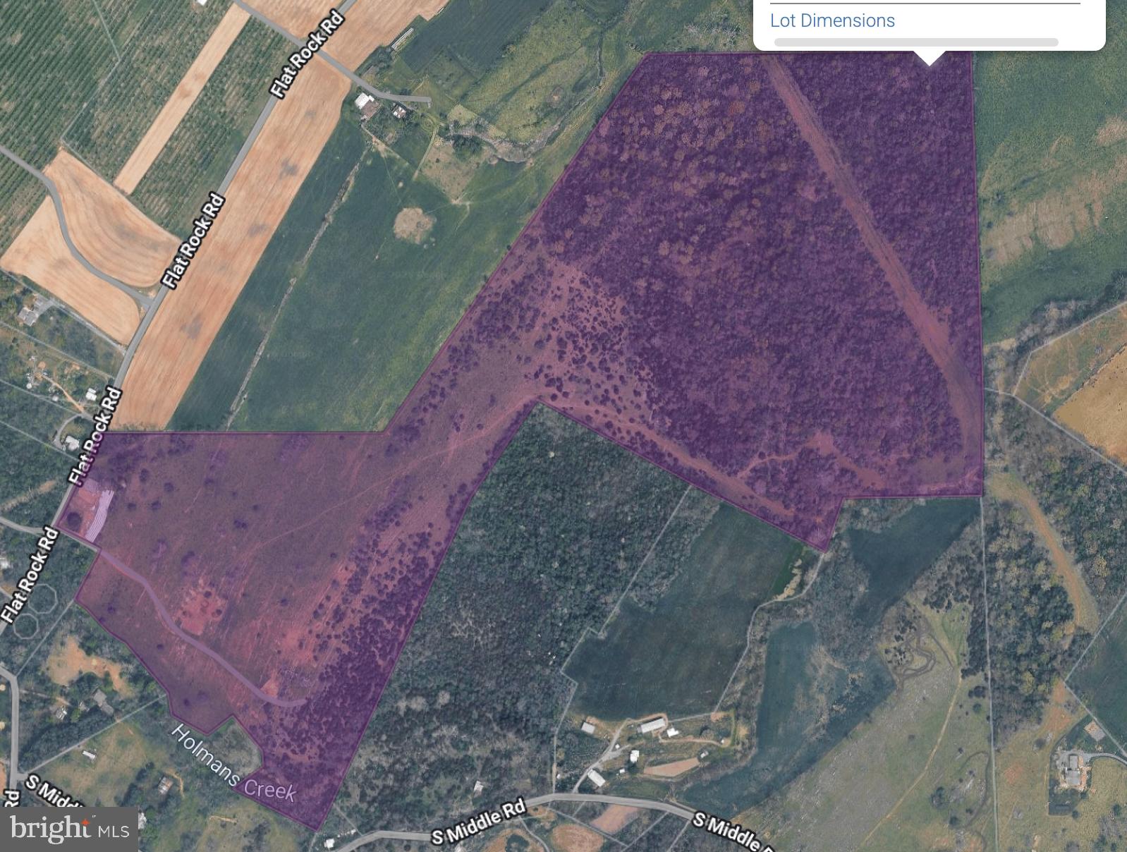 4080 Flat Rock Road Quicksburg, VA 22847 - Photo 4 of 24 a view of a backyard