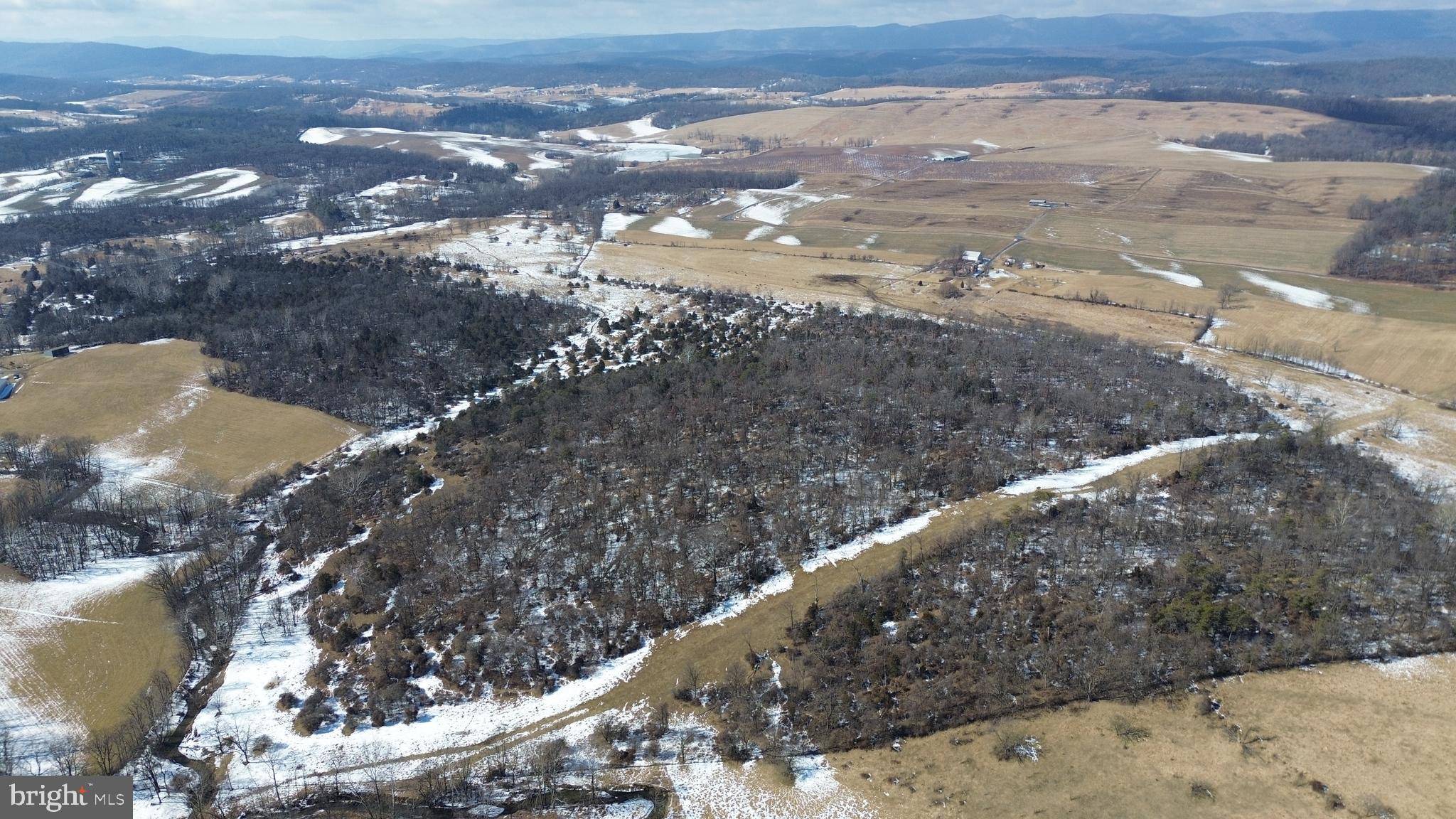 4080 Flat Rock Road Quicksburg, VA 22847 - Photo 5 of 24 a view of a dry yard with wooden fence