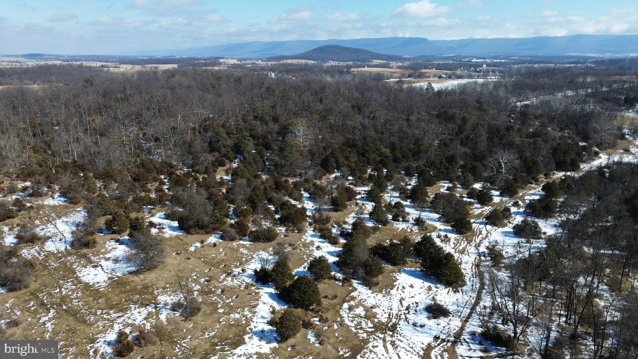 4080 Flat Rock Road Quicksburg, VA 22847 - Photo 7 of 24