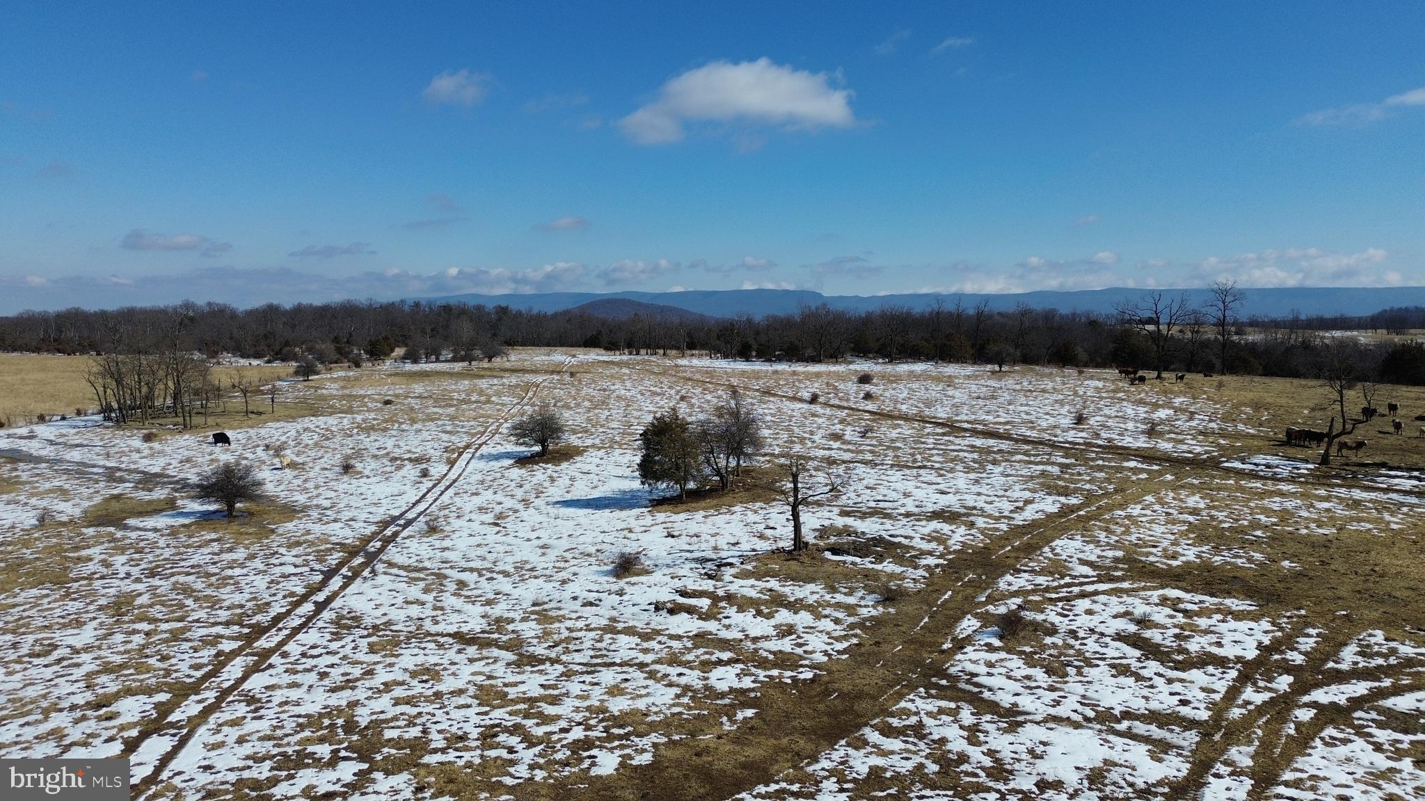 4080 Flat Rock Road Quicksburg, VA 22847 - Photo 8 of 24 a view of a lake with a beach