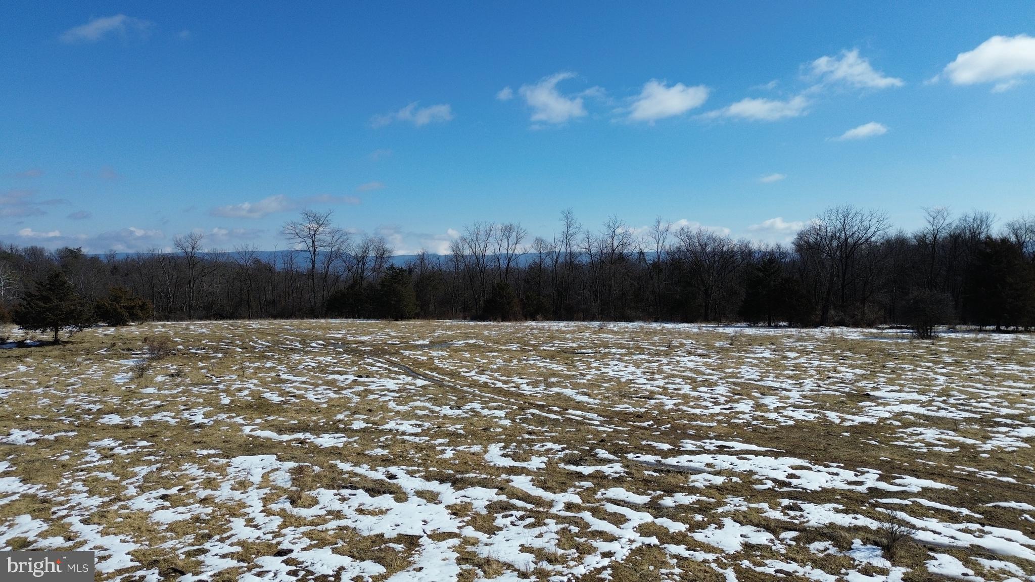 4080 Flat Rock Road Quicksburg, VA 22847 - Photo 9 of 24 a view of swimming pool