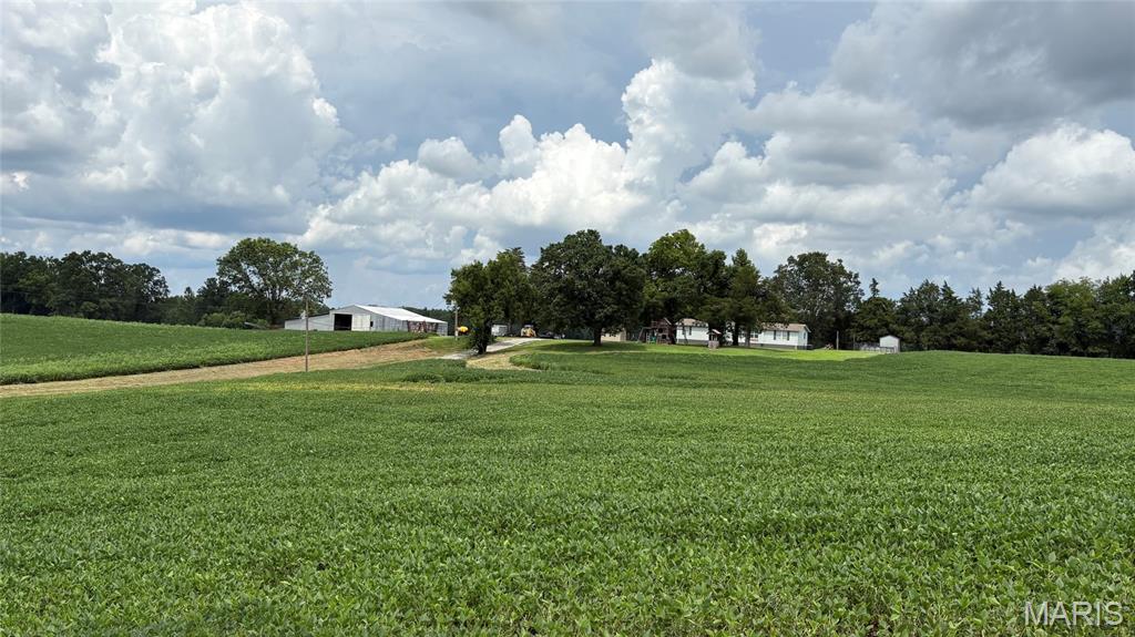 920 South Poplar Camp Road Makanda, IL 62958 - Photo 1 of 53
