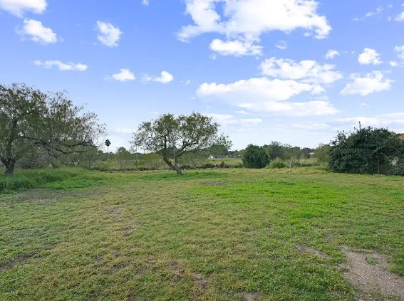a view of field with trees in background