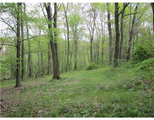 1625 Washington Road Apollo, PA 15613 - Photo 11 of 13 Land.