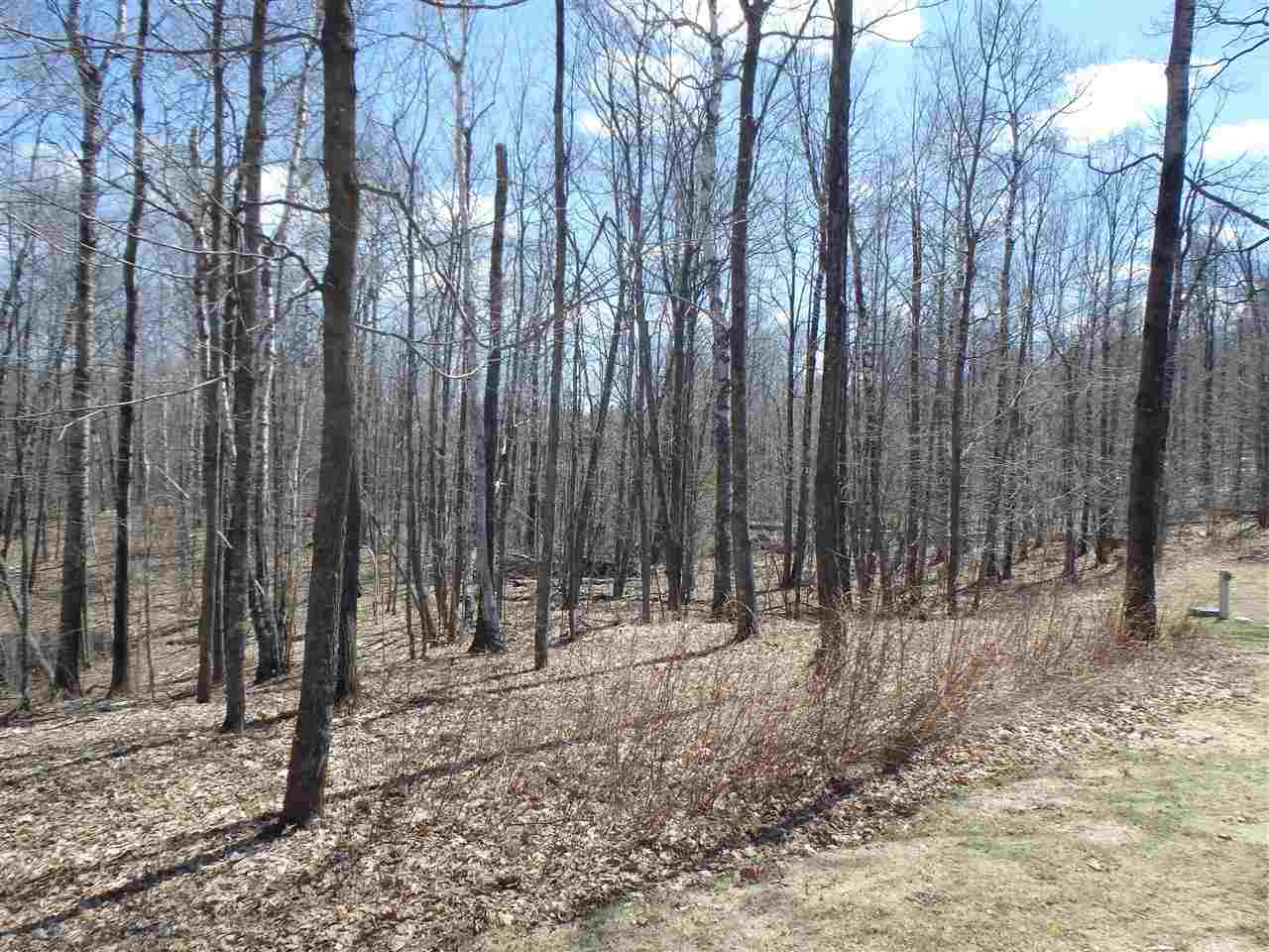 6262 Birch Point Road Saginaw, MN 55779 - Photo 3 of 13 Gallery Image 3